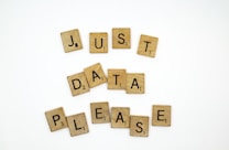 Wooden letter tiles resembling those from a word game are arranged to spell out the phrase 'JUST DATA PLEASE' on a plain white background. The tiles have black letters and numbers indicating point values.