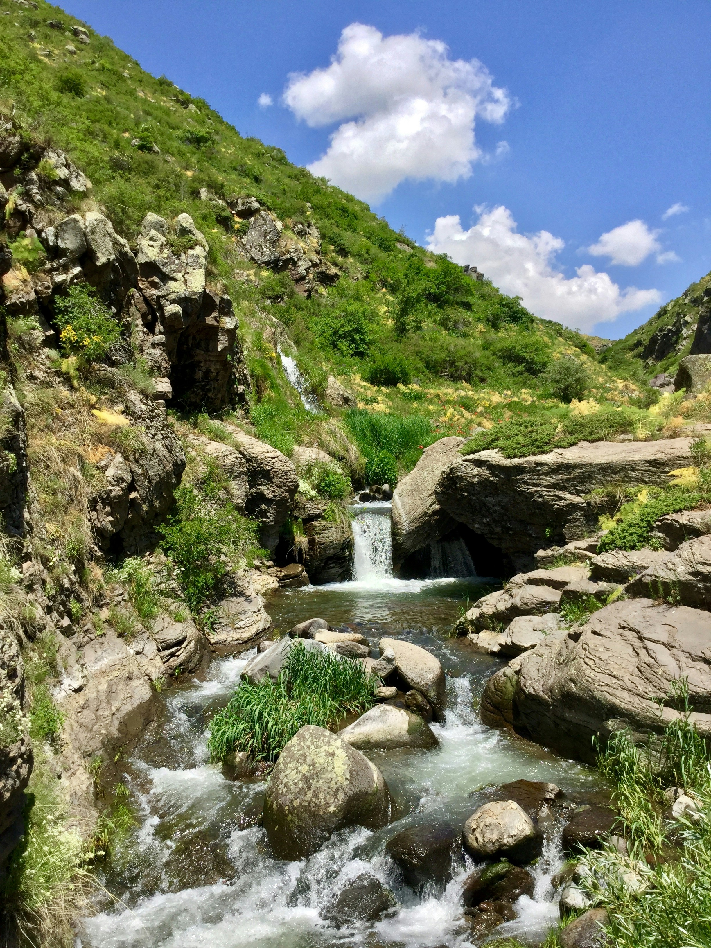 Photo by gourgenkarapetyan