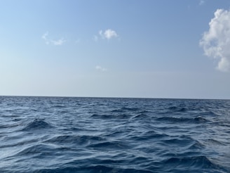 A beautiful view of the ocean with a clear blue sky.