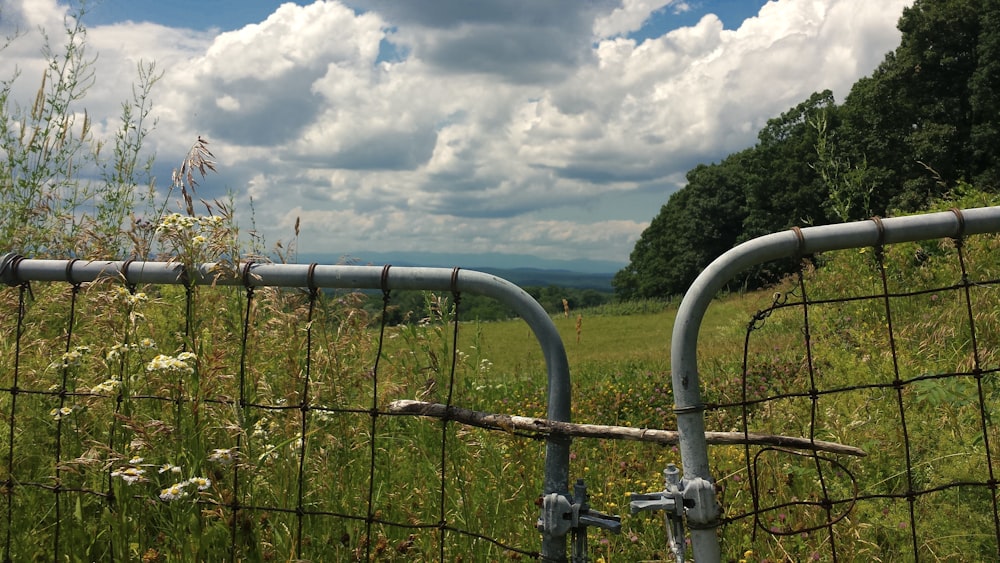 a fenced in field with tall grass and flowers