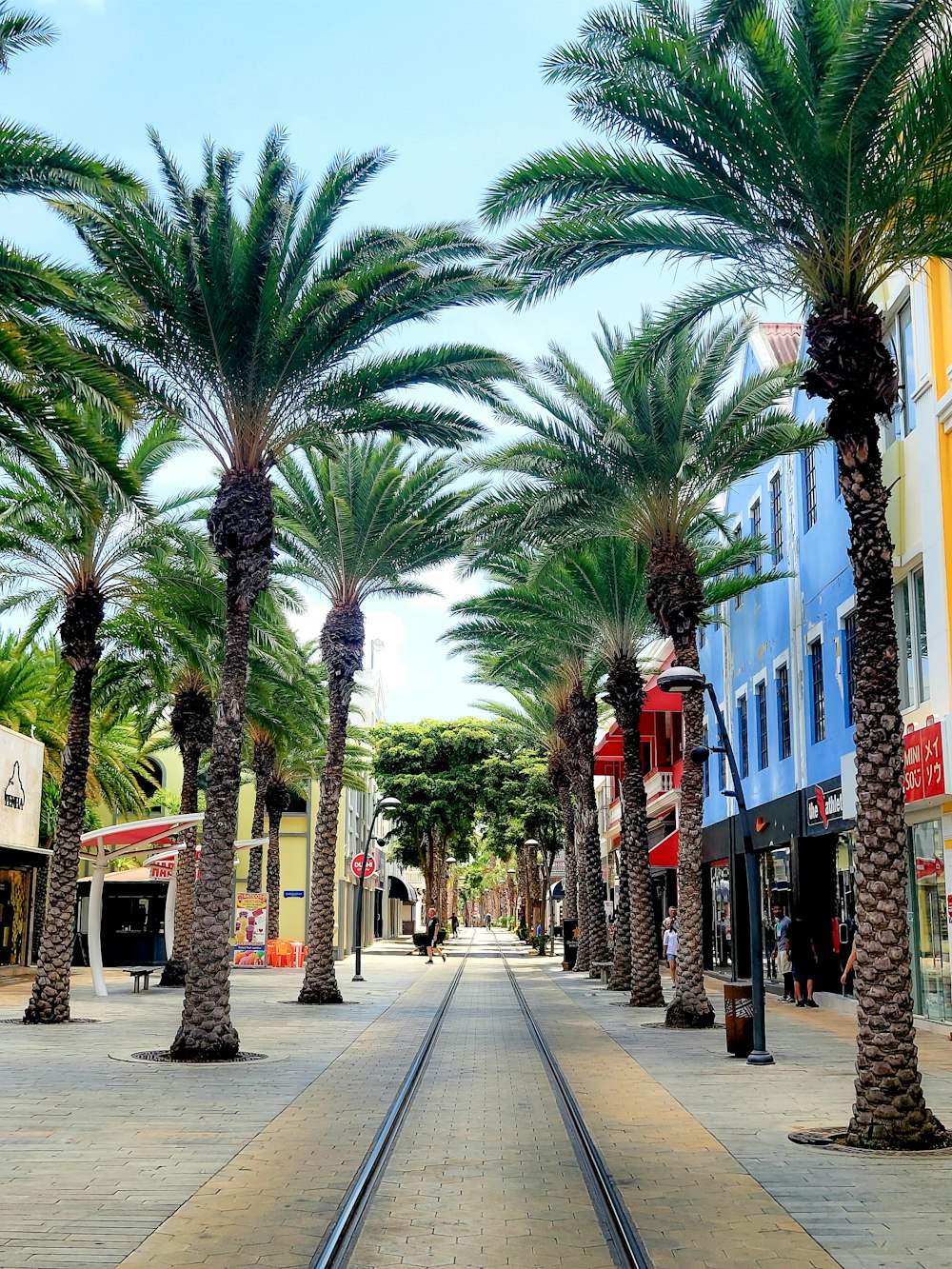a street lined with palm trees and shops