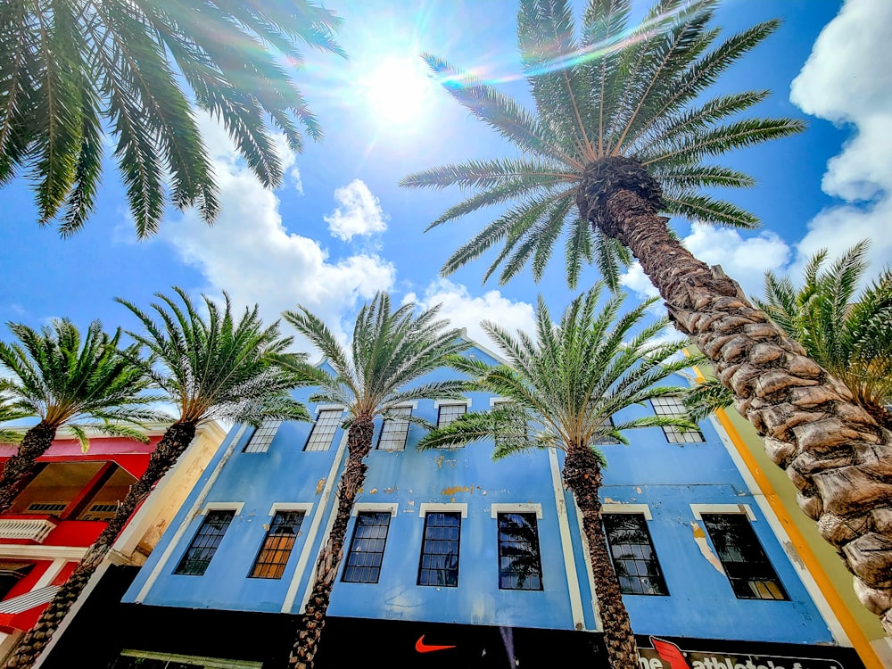 a blue building with palm trees in front of it