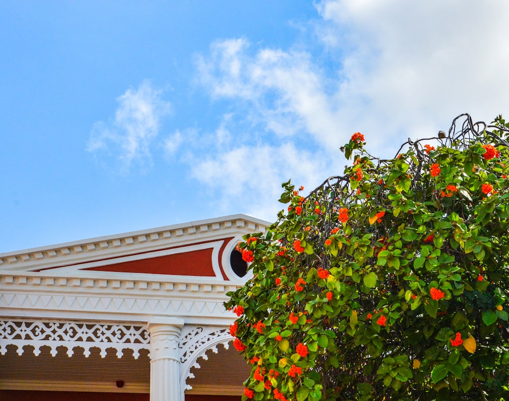 a tree with oranges growing on it in front of a building