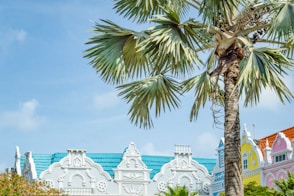 a palm tree in front of a colorful building