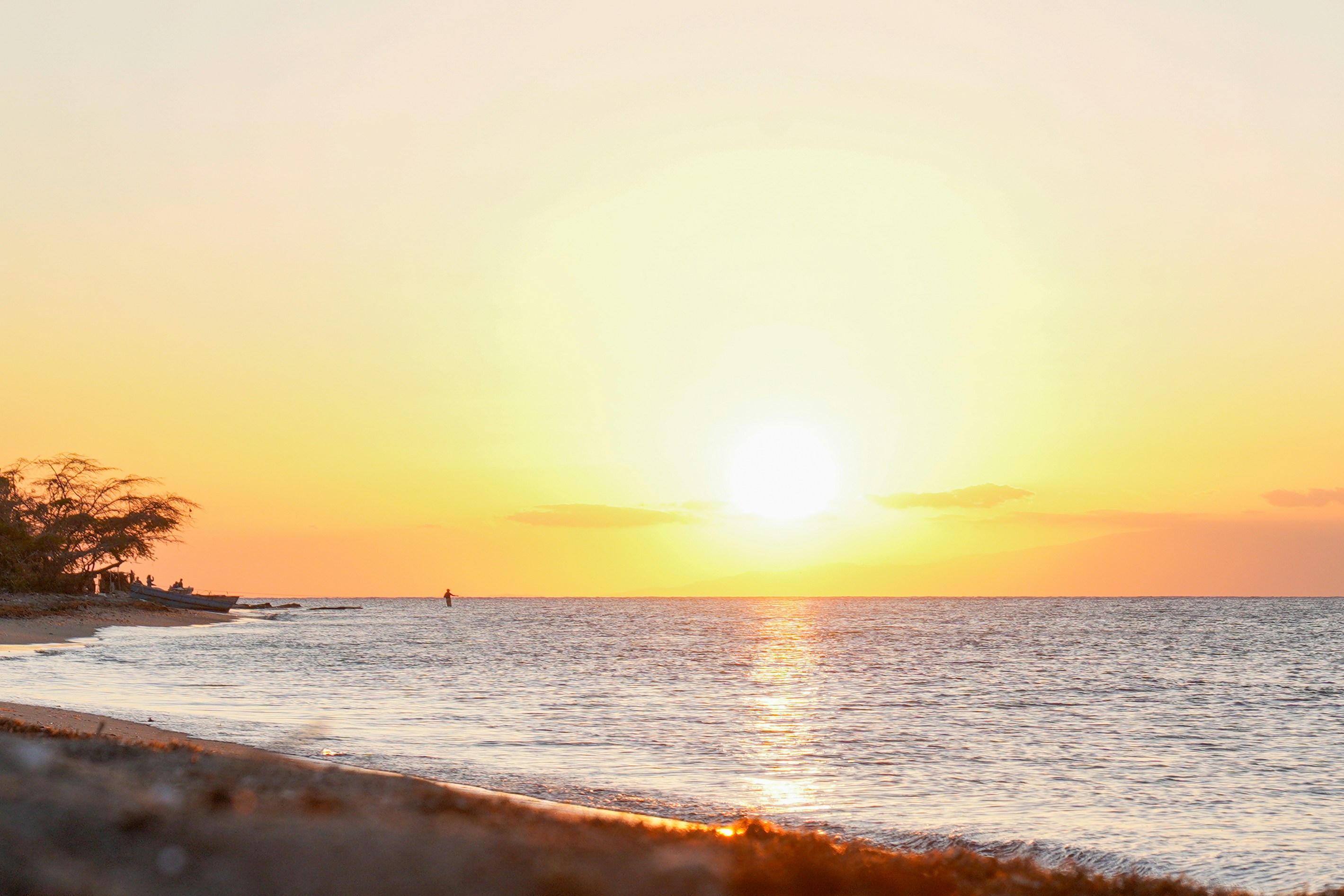 Photo by aldwardcv31