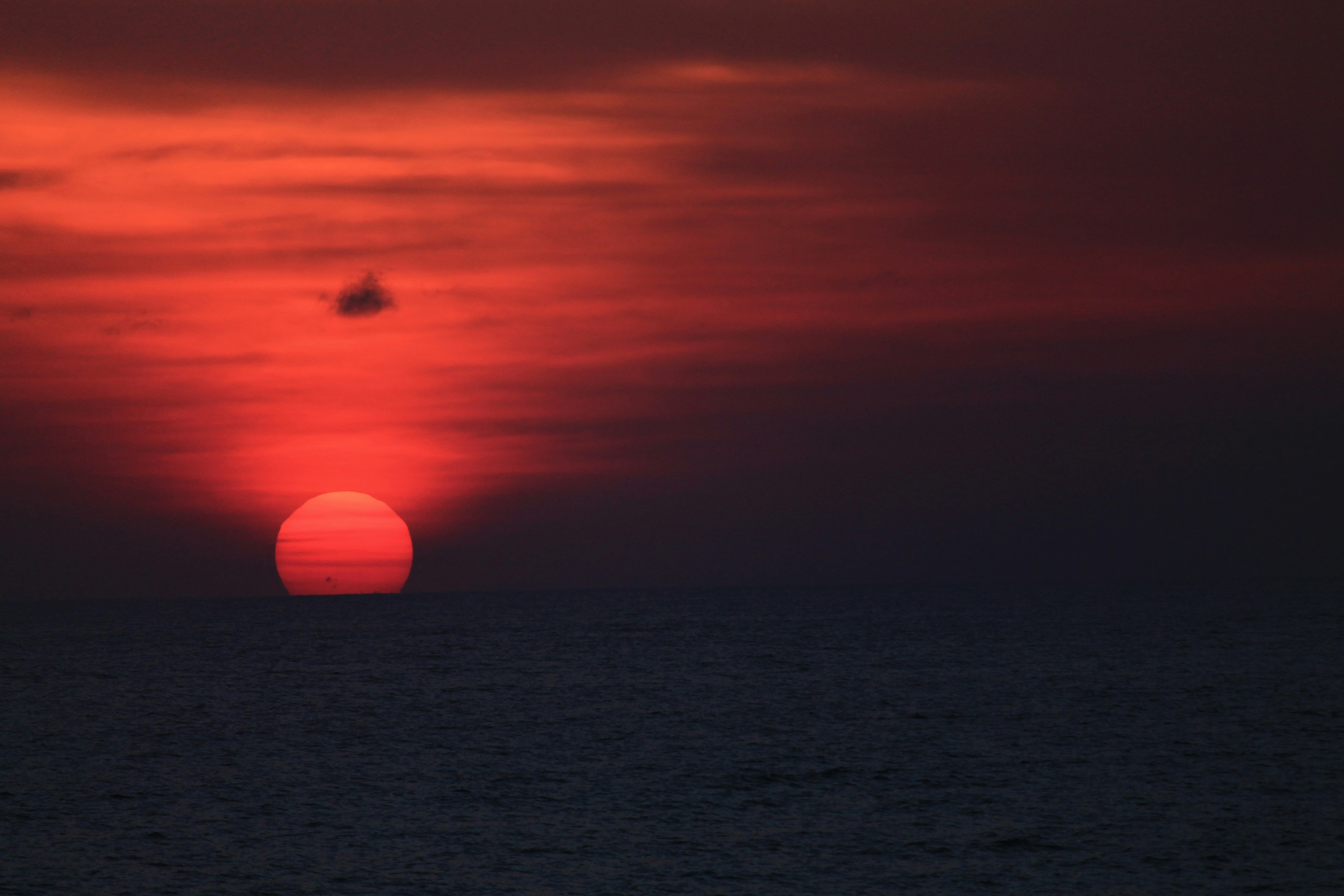 Photo by angelaarinp