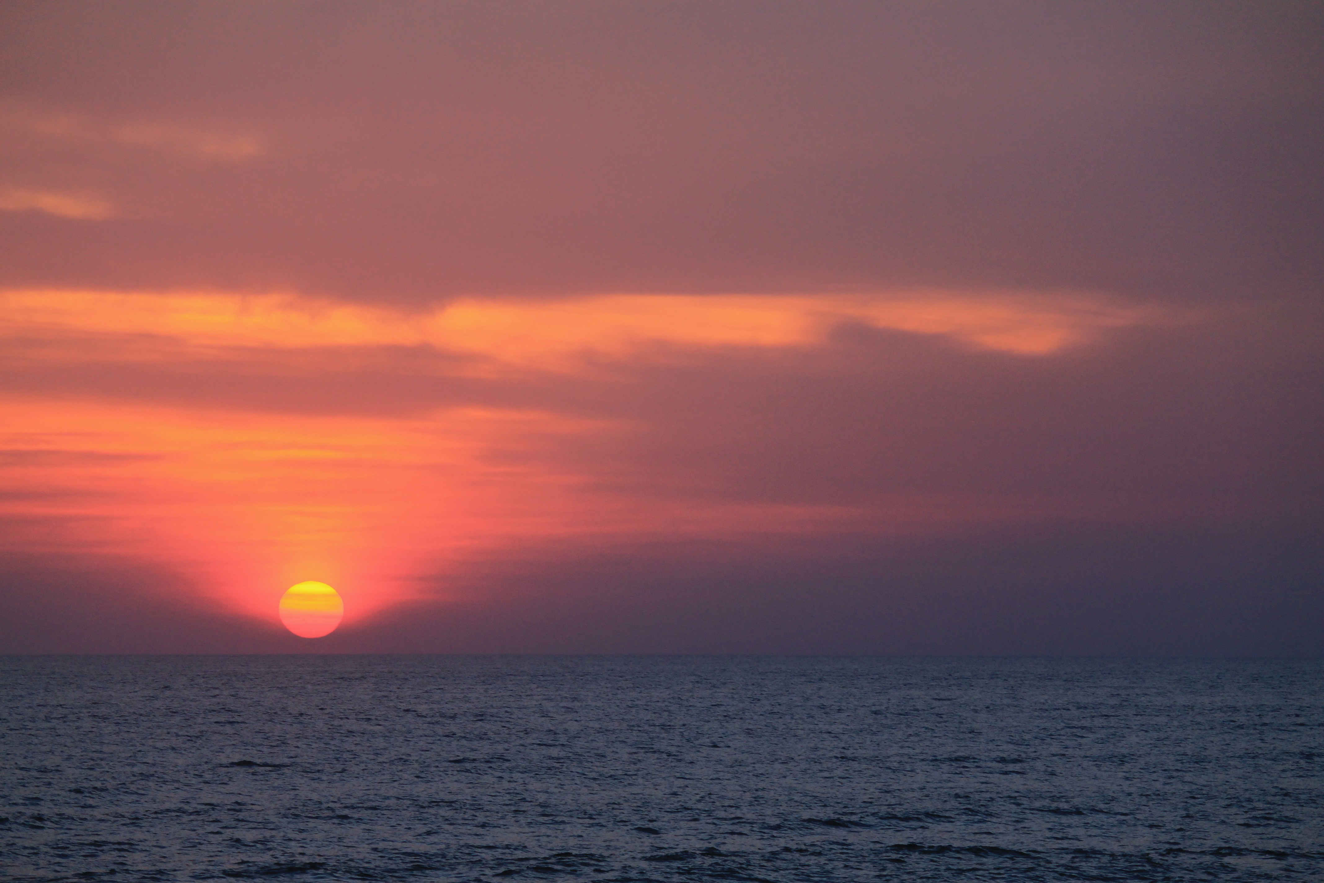 Photo by angelaarinp