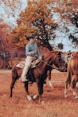 A person wearing a cowboy hat and denim shirt is riding a brown horse. The background features autumn trees with leaves in shades of orange and yellow. The scene suggests an outdoor, rural setting with a serene, natural ambiance.