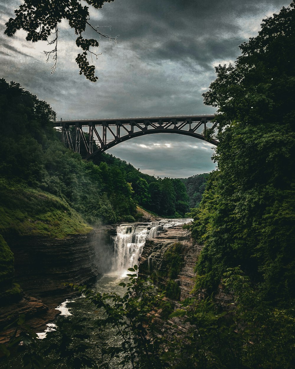 a bridge over a river next to a lush green forest