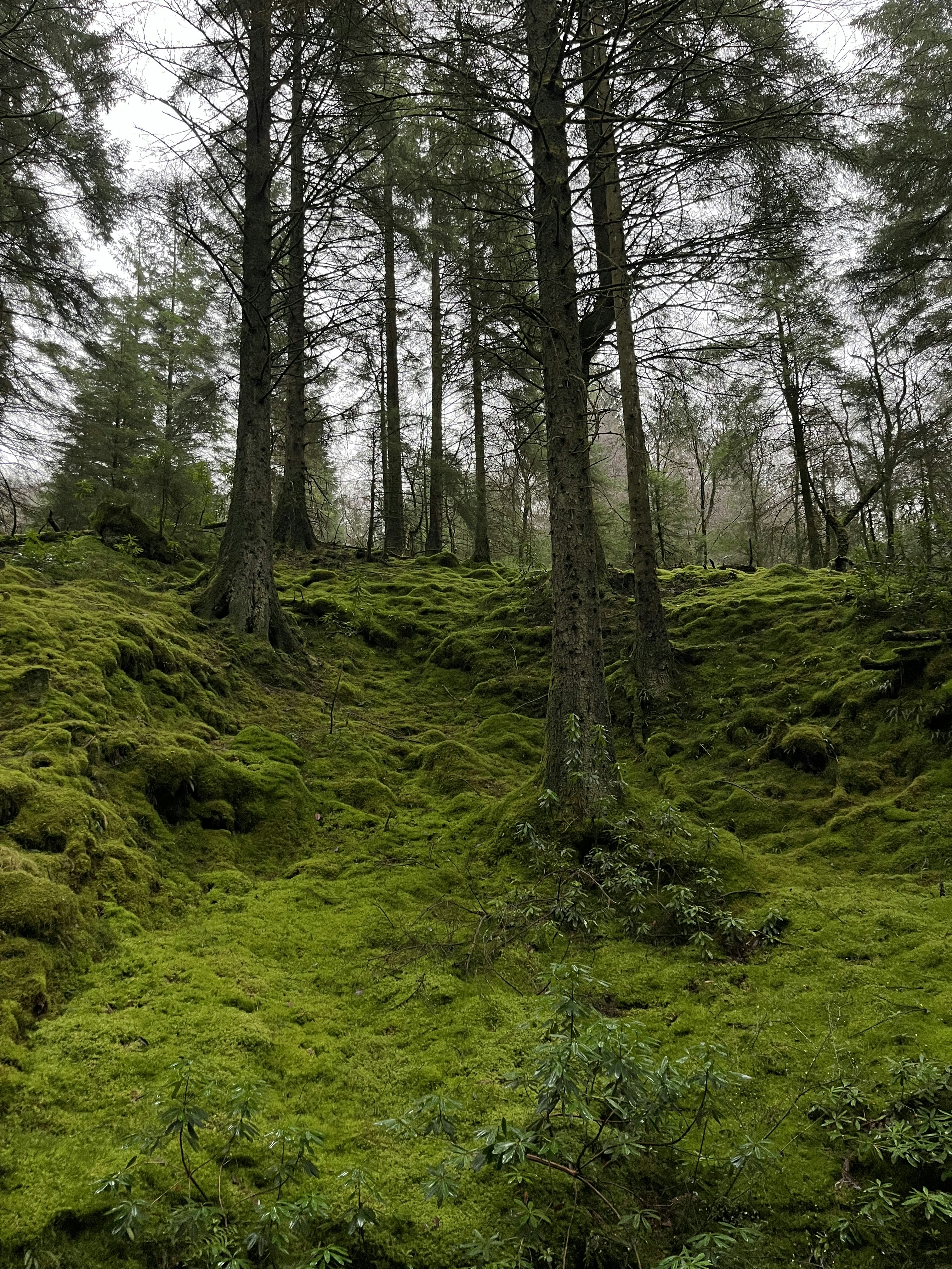 Photo by natalia_maod