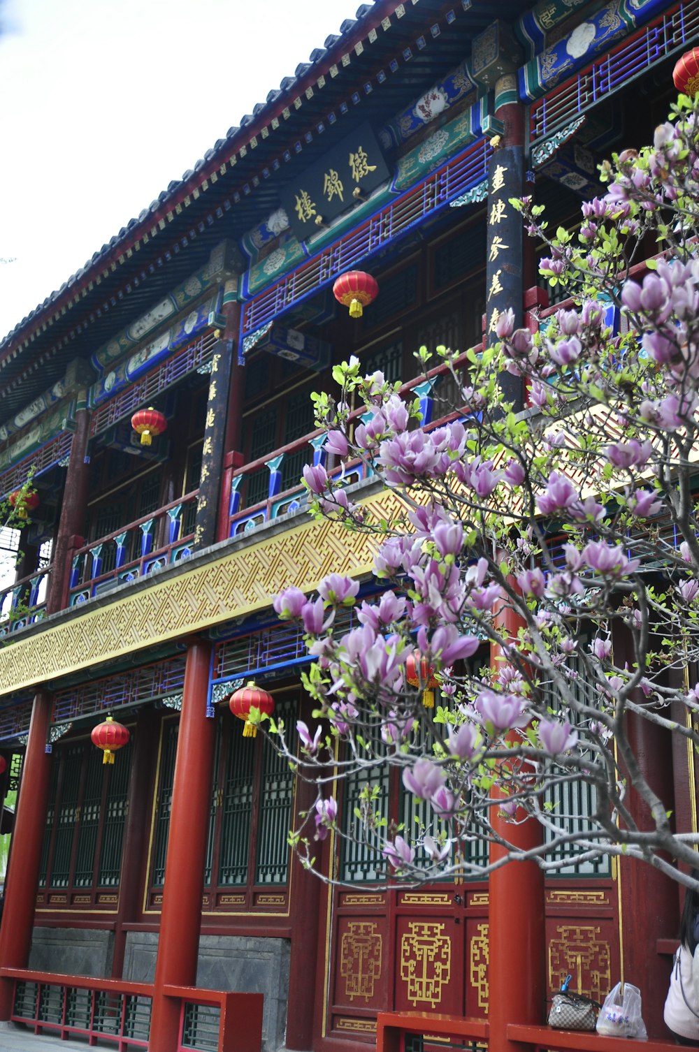 a tall building with purple flowers in front of it