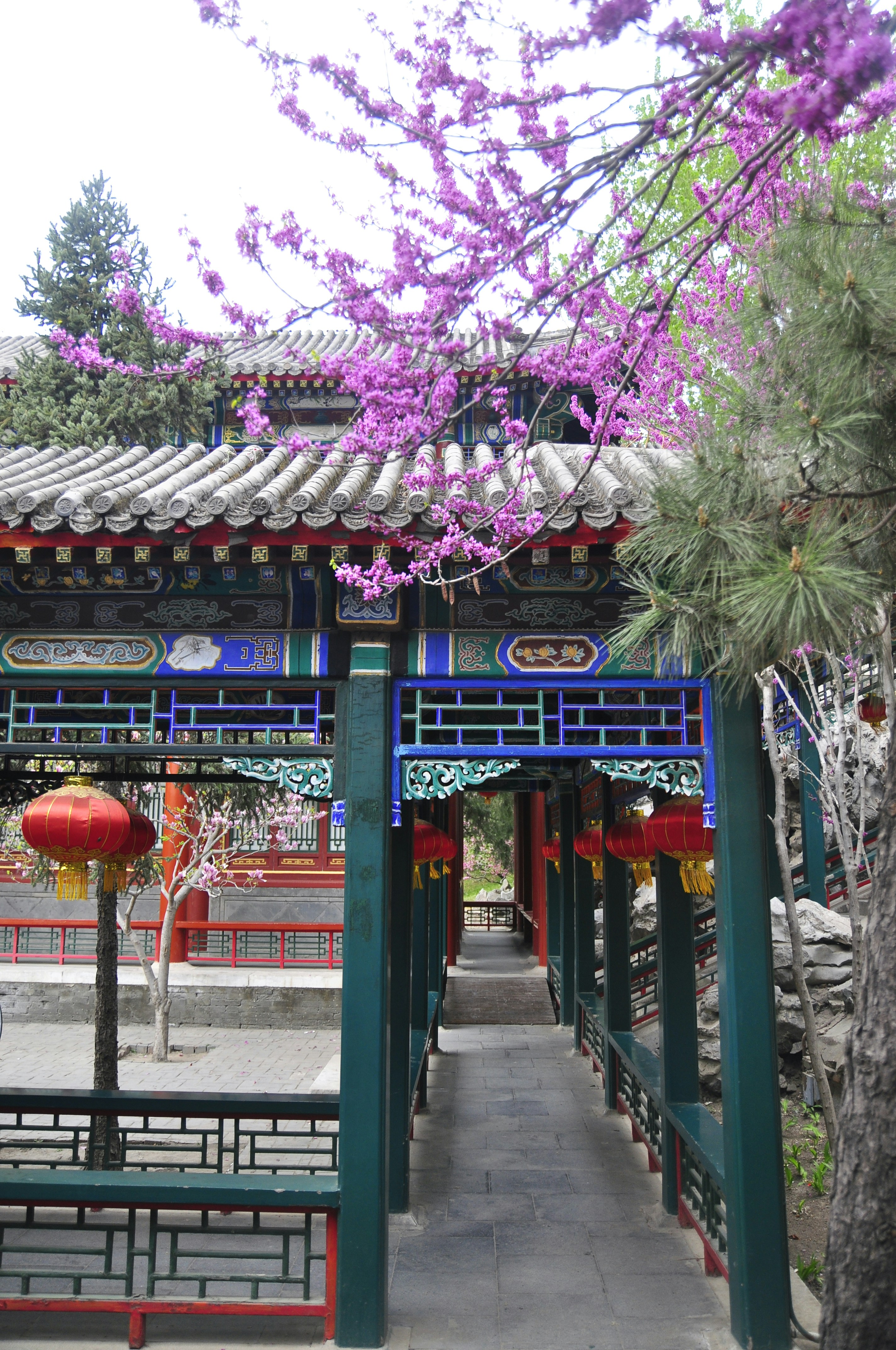 鹿島 アントラーズ ユニフォーム 色