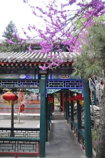 A traditional Chinese structure featuring intricate colorful details and red lanterns is surrounded by blossoming pink flowers on trees. The tiled roof and decorative woodwork showcase classic architectural elements within a serene garden setting.