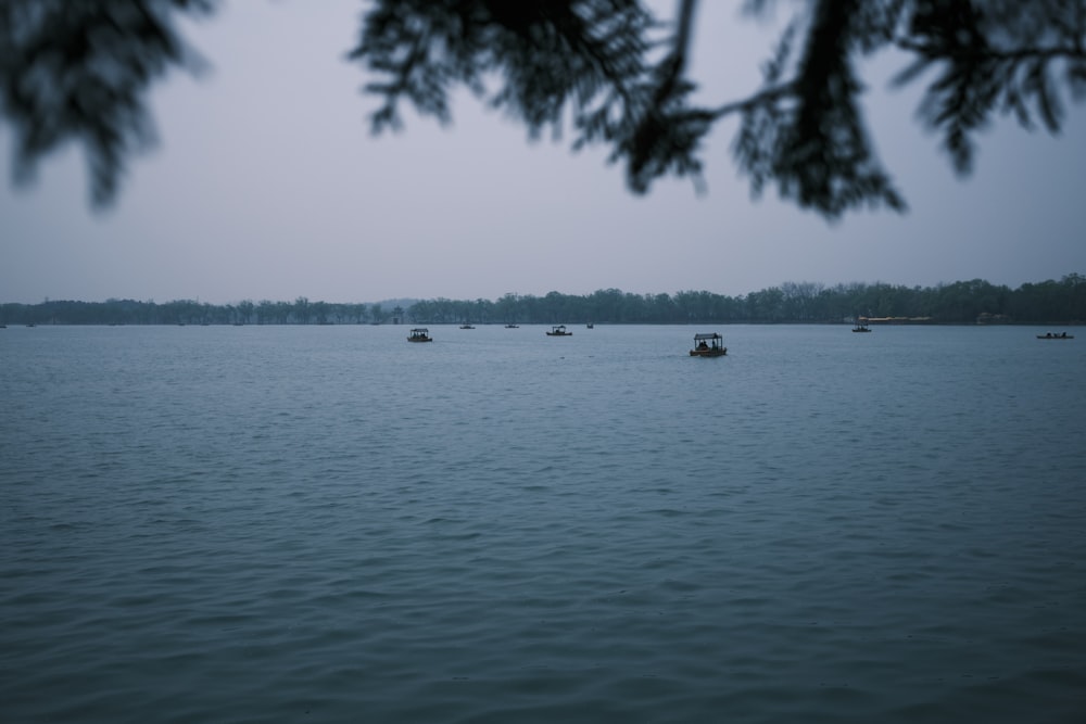 a group of boats floating on top of a large body of water