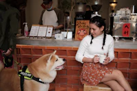 Best Pet-Friendly Cafes in Shillong Where Your Dog Is as Welcome as You