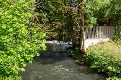 A serene river flows through a lush green forested area, accompanied by dense vegetation on both sides. A small concrete wall with a fence runs alongside the right bank.