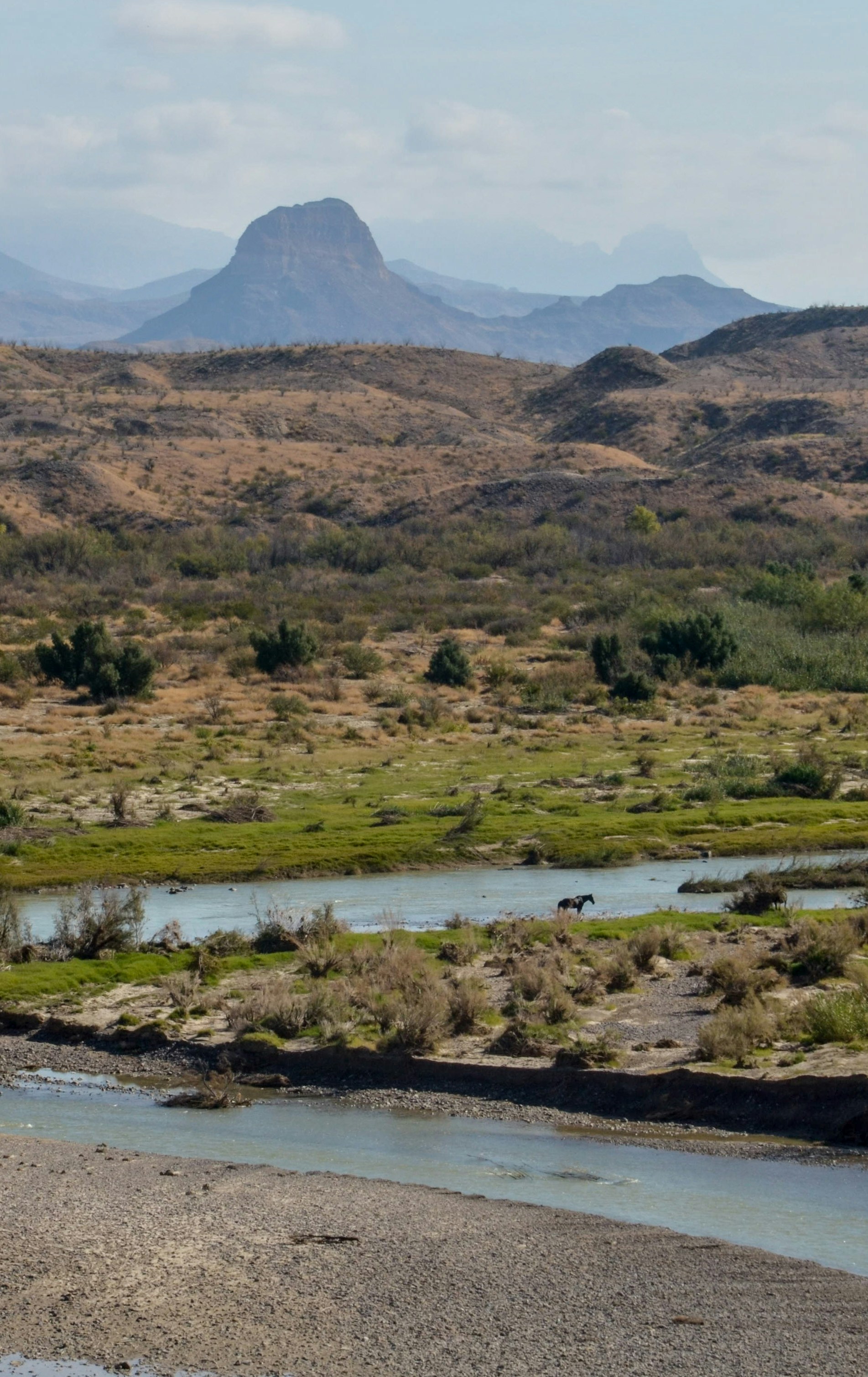 Photo by fultonbrowne