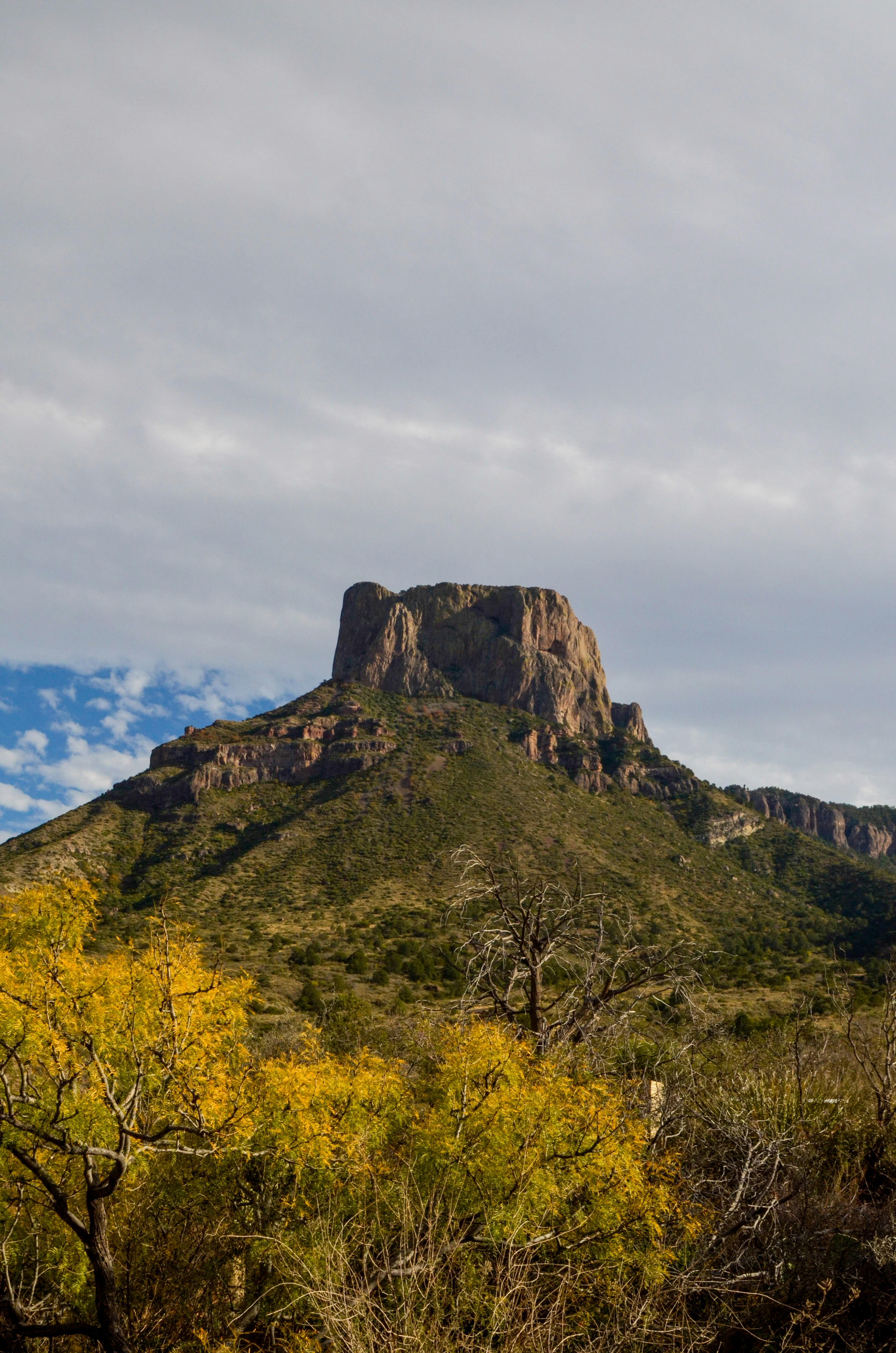 Photo by fultonbrowne