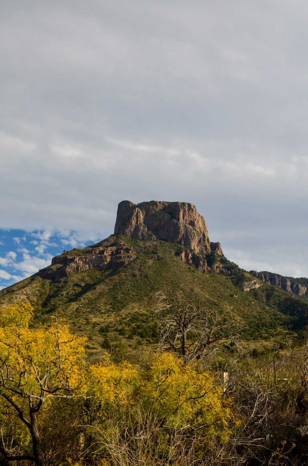 a mountain with trees and bushes in front of it