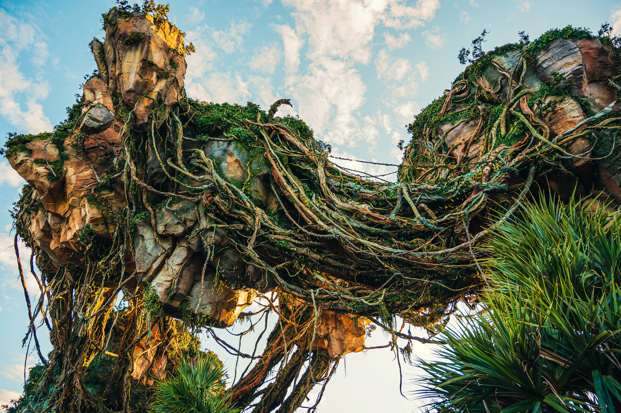 Montanhas flutuantes e vegetação de Pandora no Animal Kingdom