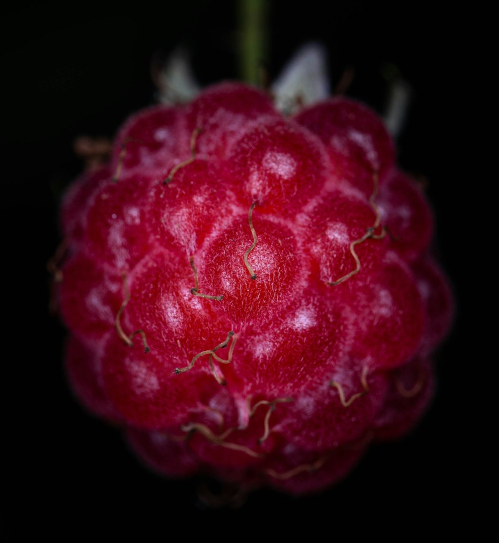 a close up of a raspberry on a black background