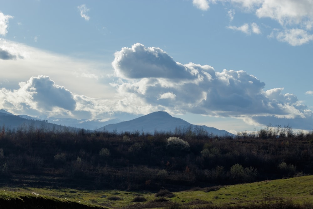 a grassy field with a mountain in the background