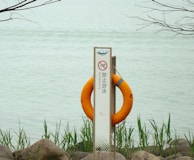 A body of water with a sign indicating no swimming is mounted on the shore. The sign features text in multiple languages and a warning symbol, and a bright orange lifebuoy is attached. Surrounding the sign, there are rocks and green reeds. Branches with no leaves extend into the frame from the top.