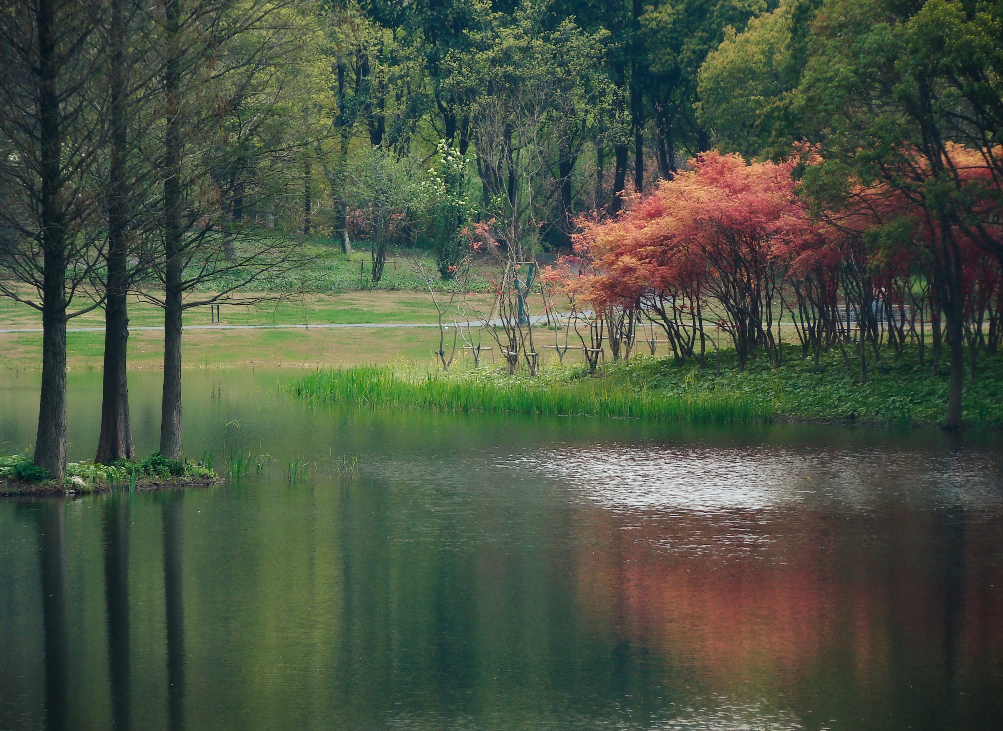 Photo by maro_of_sengu