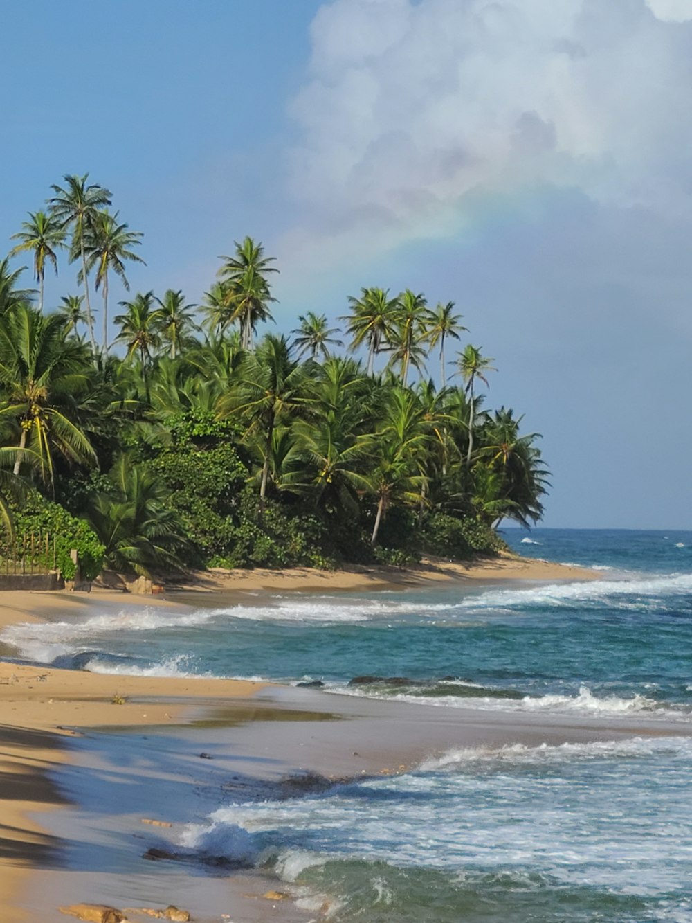 a sandy beach with palm trees and a rainbow in the sky