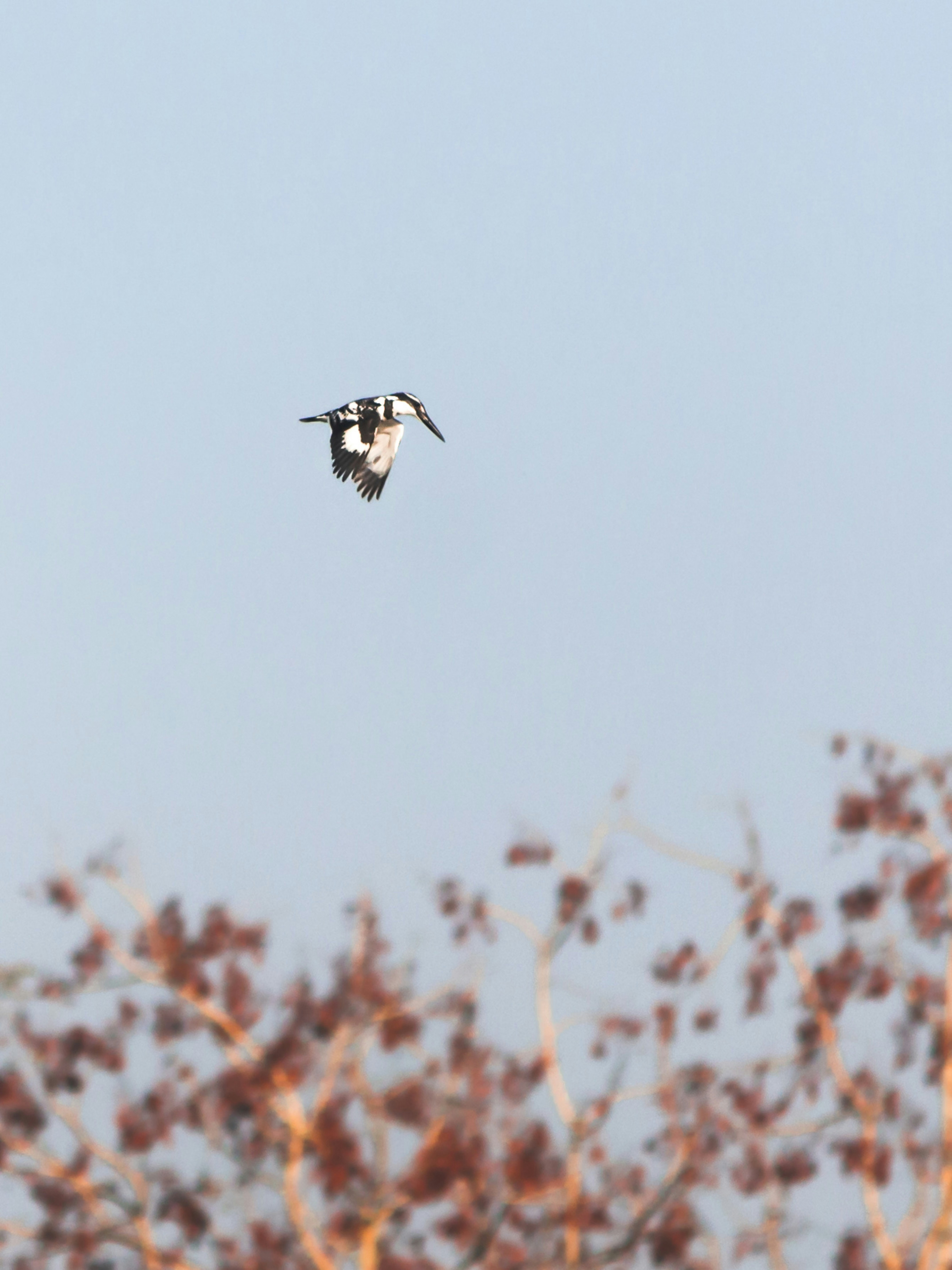 Photo by harshit_suryawanshi