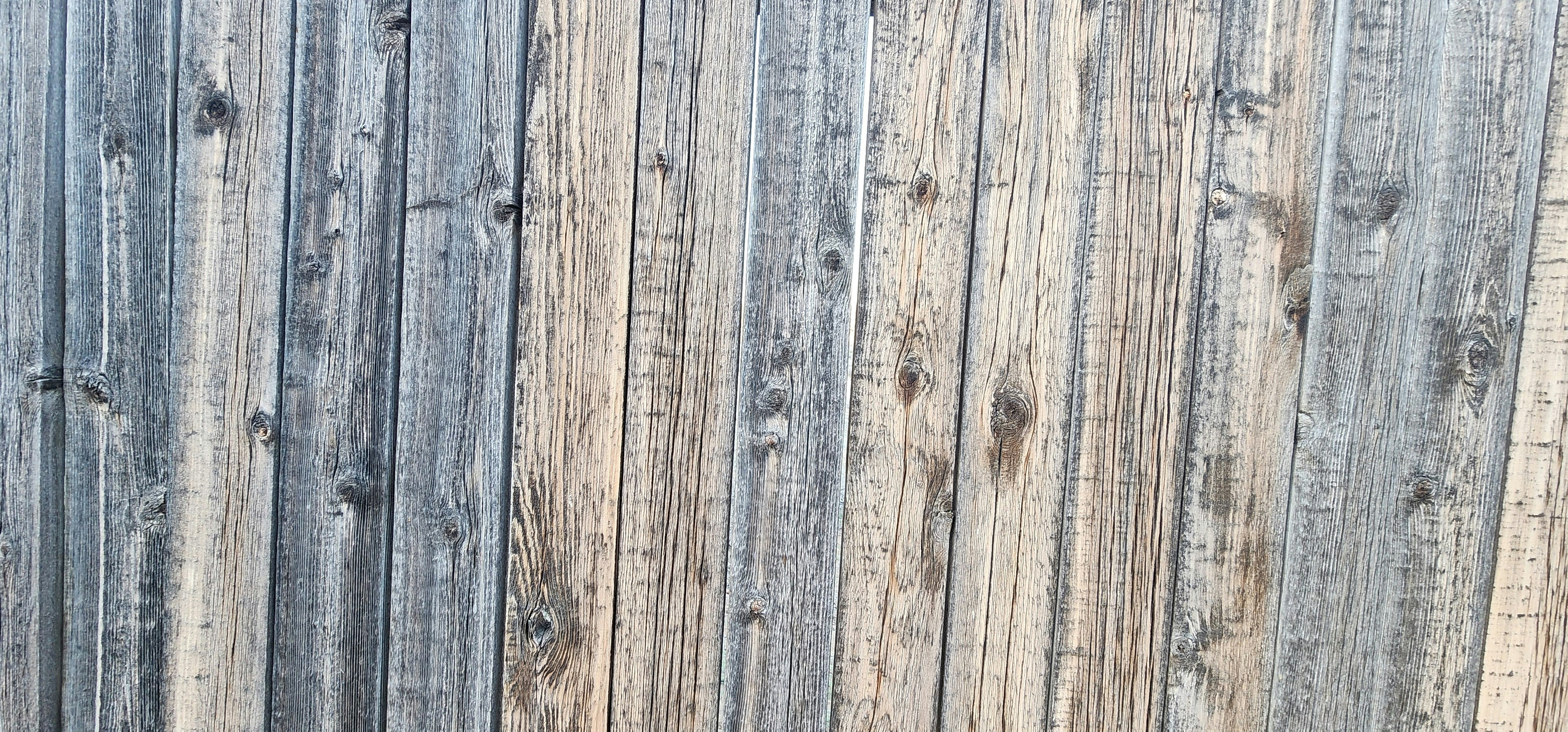 Photo by thegraphicartist