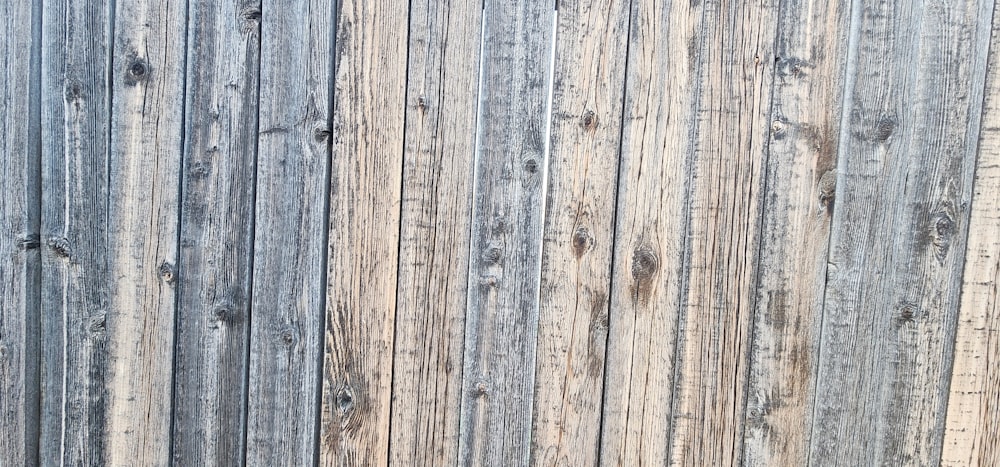 a close up of a wooden fence with a bird perched on top of it