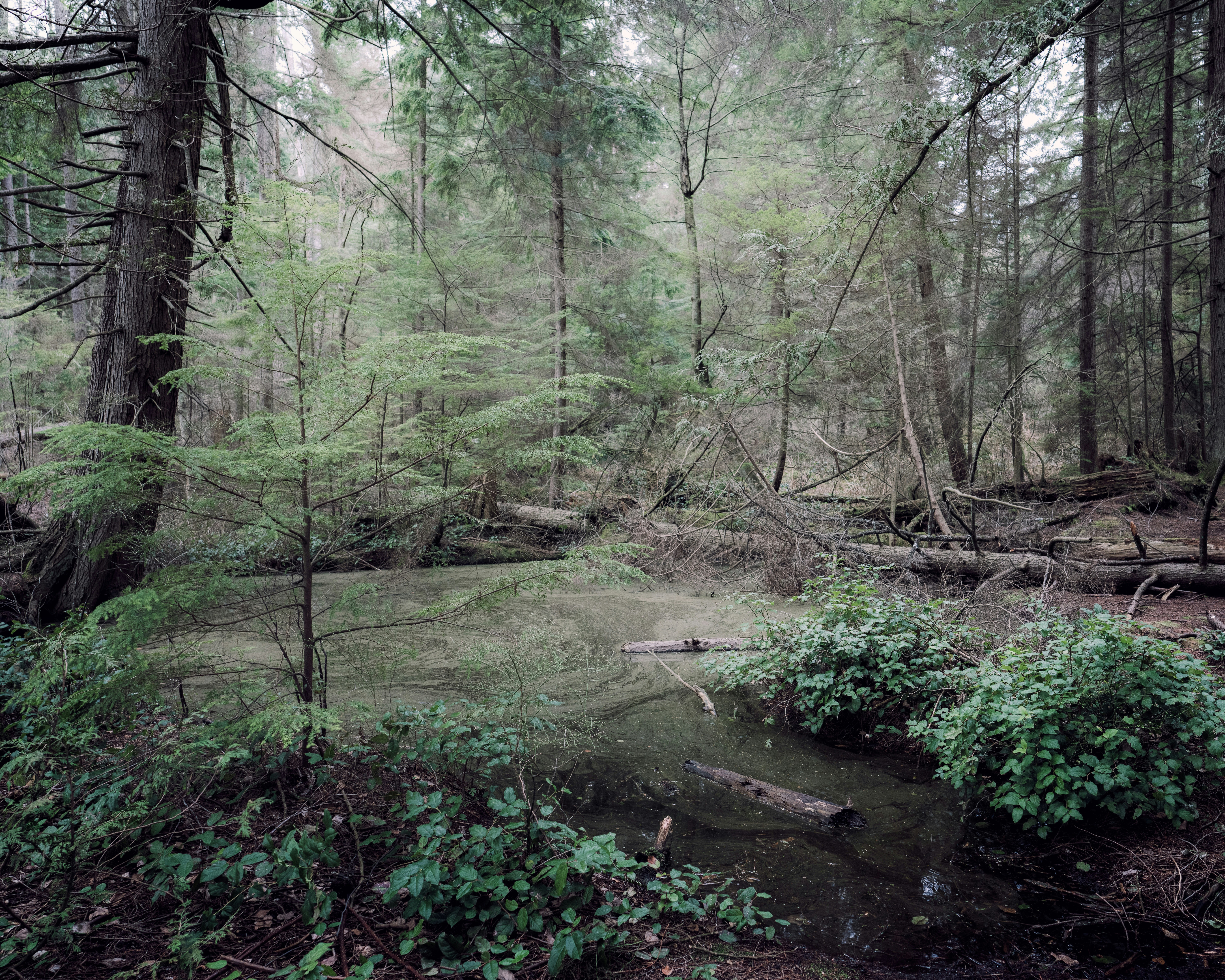 Photo by arianmontazeri