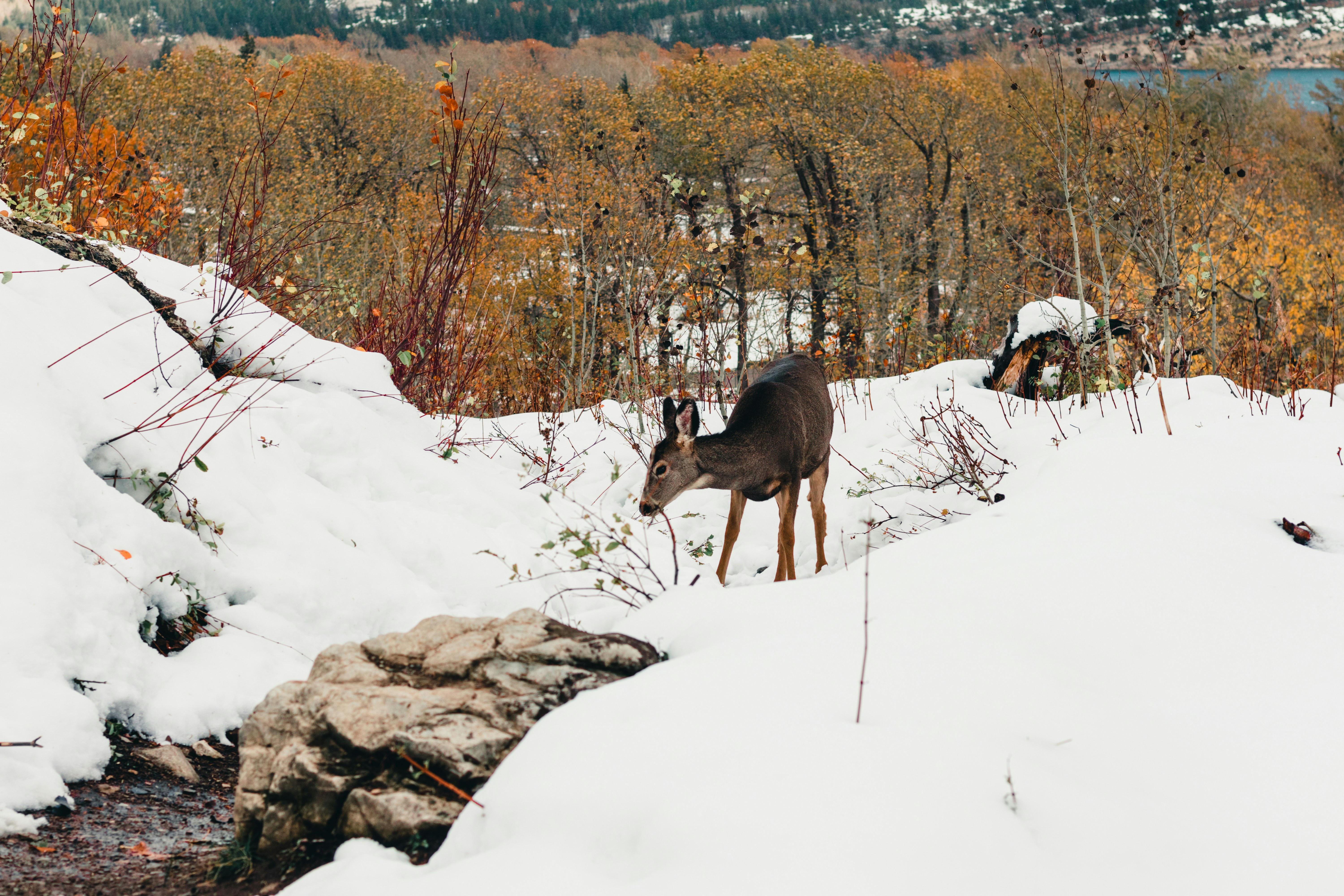 Photo by lureofadventure