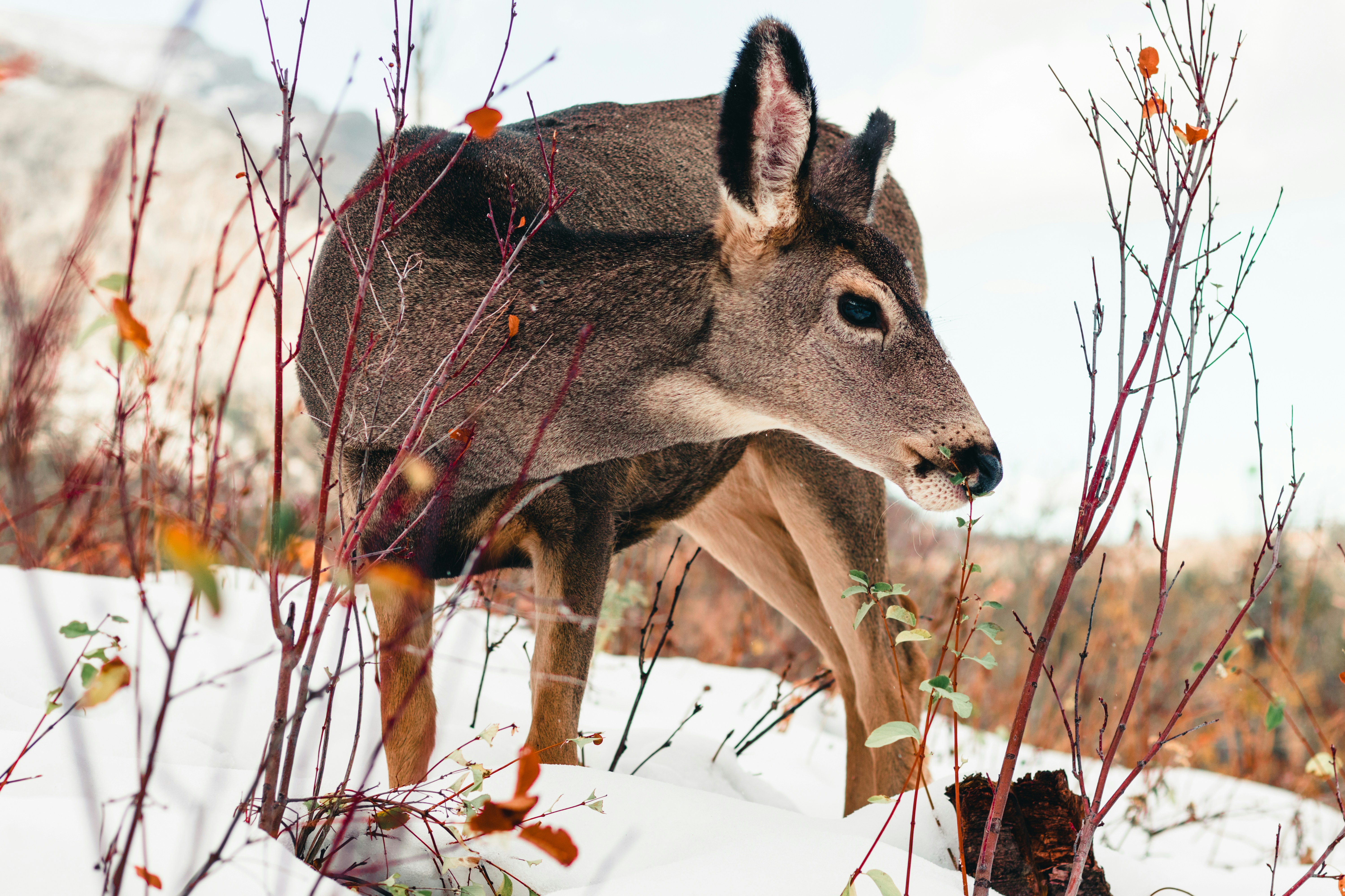 Photo by lureofadventure