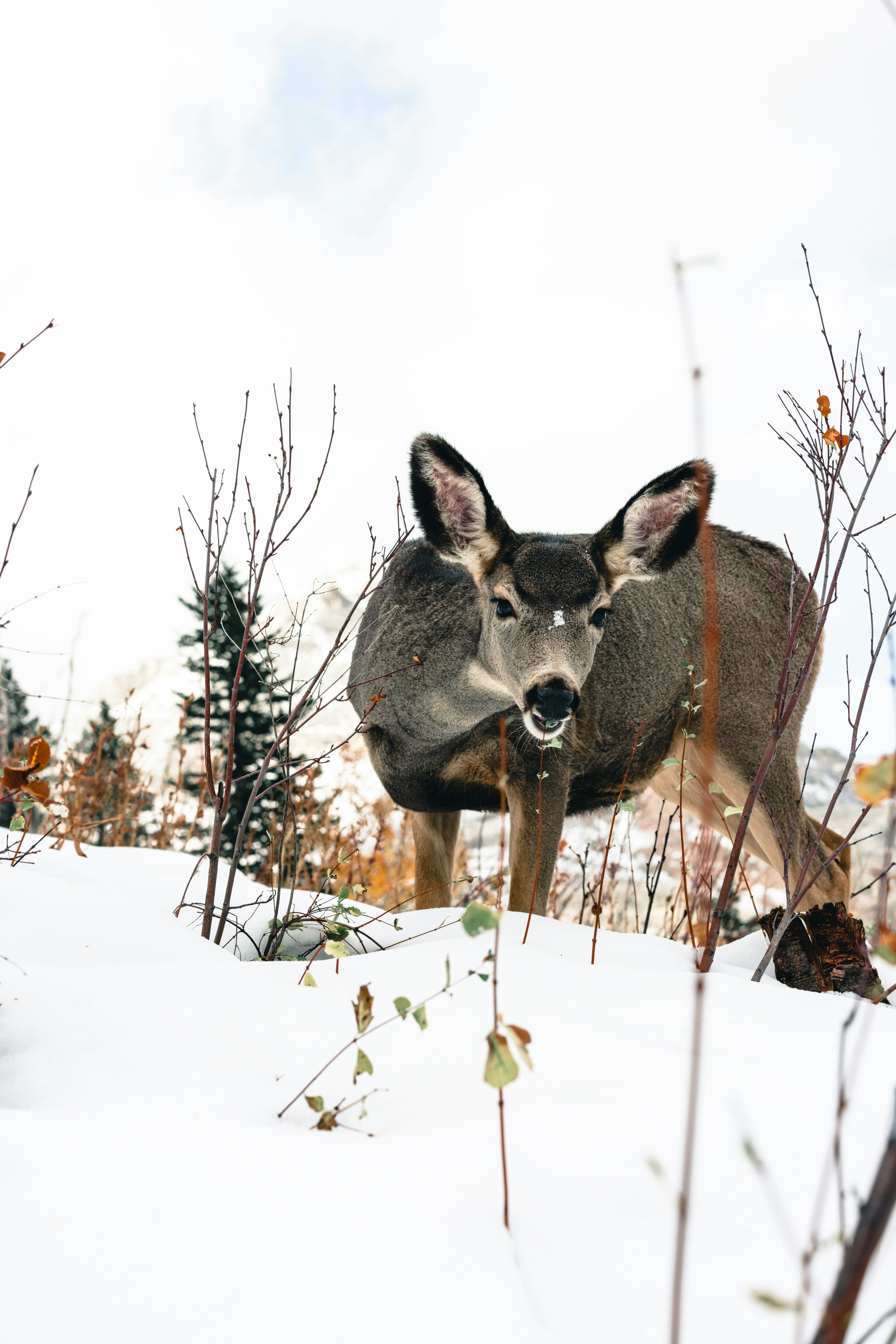 Photo by lureofadventure