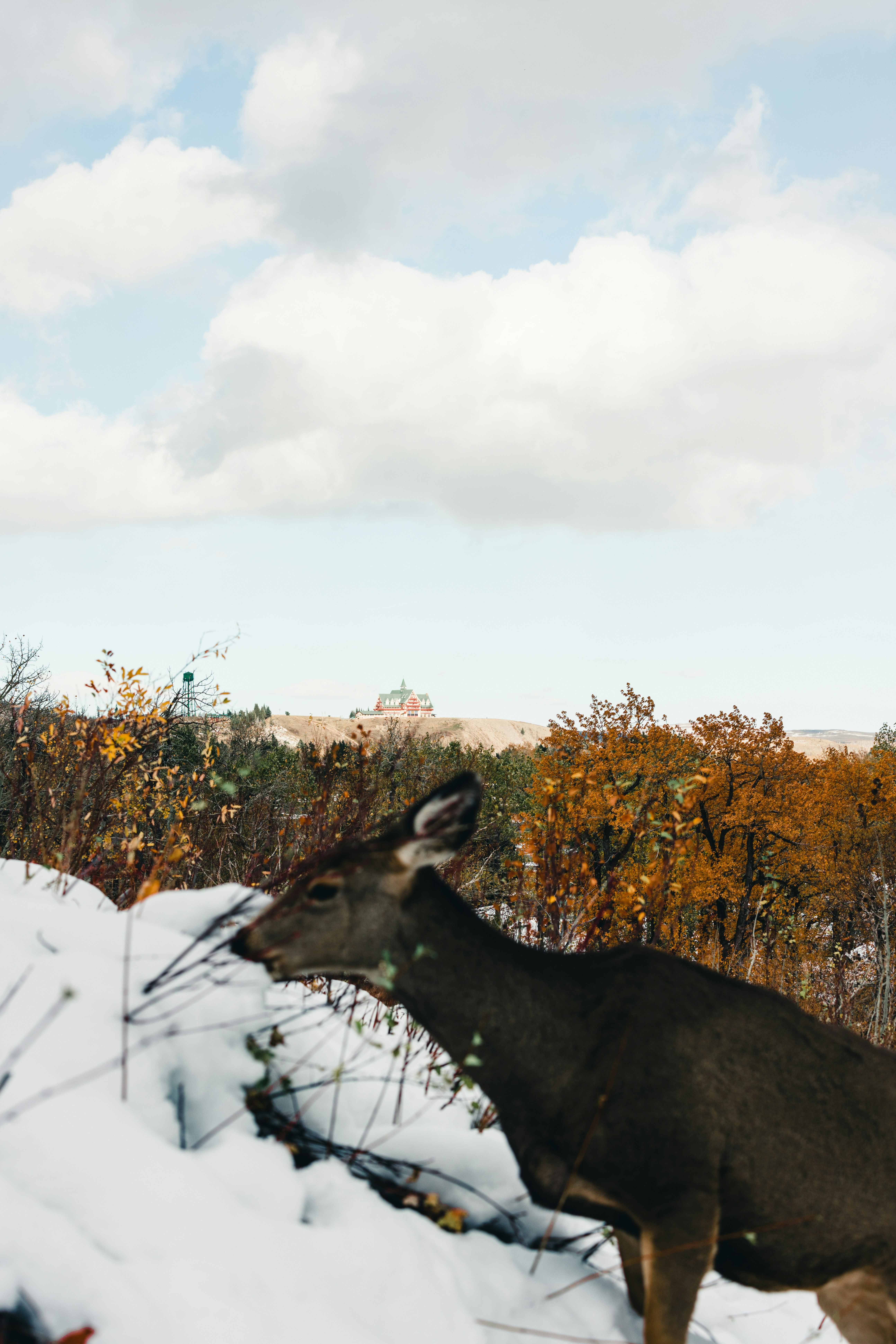 Photo by lureofadventure