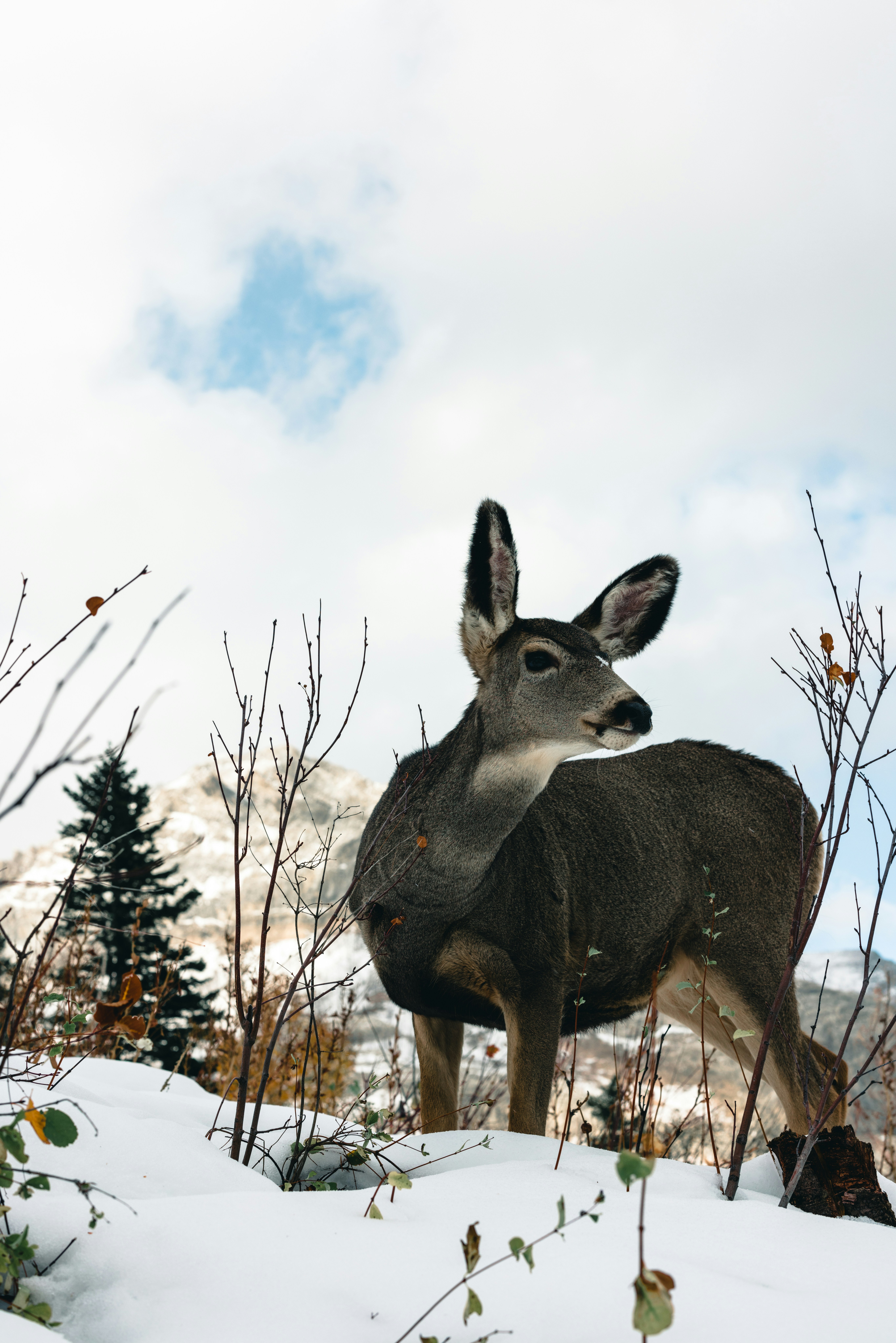 Photo by lureofadventure