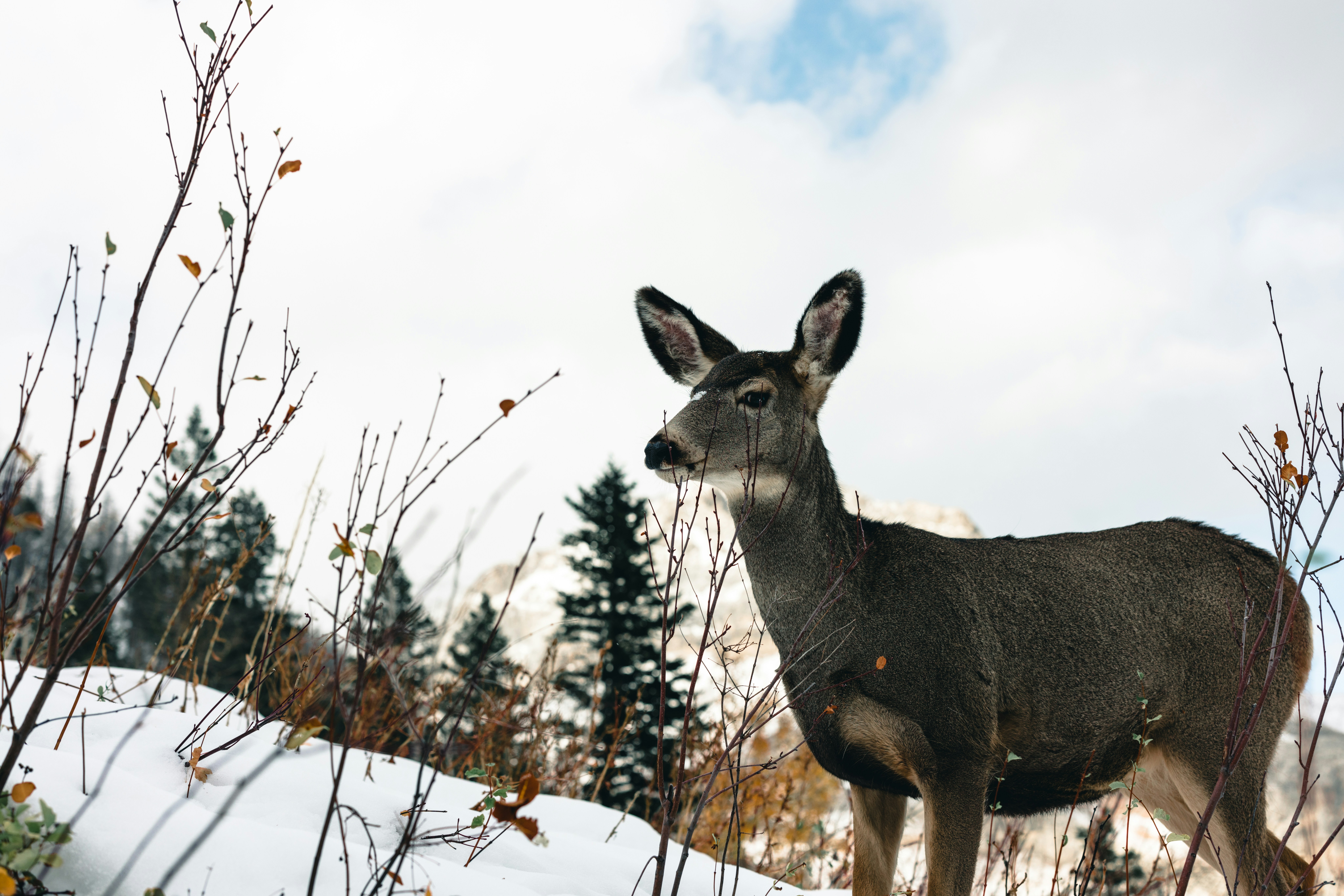 Photo by lureofadventure