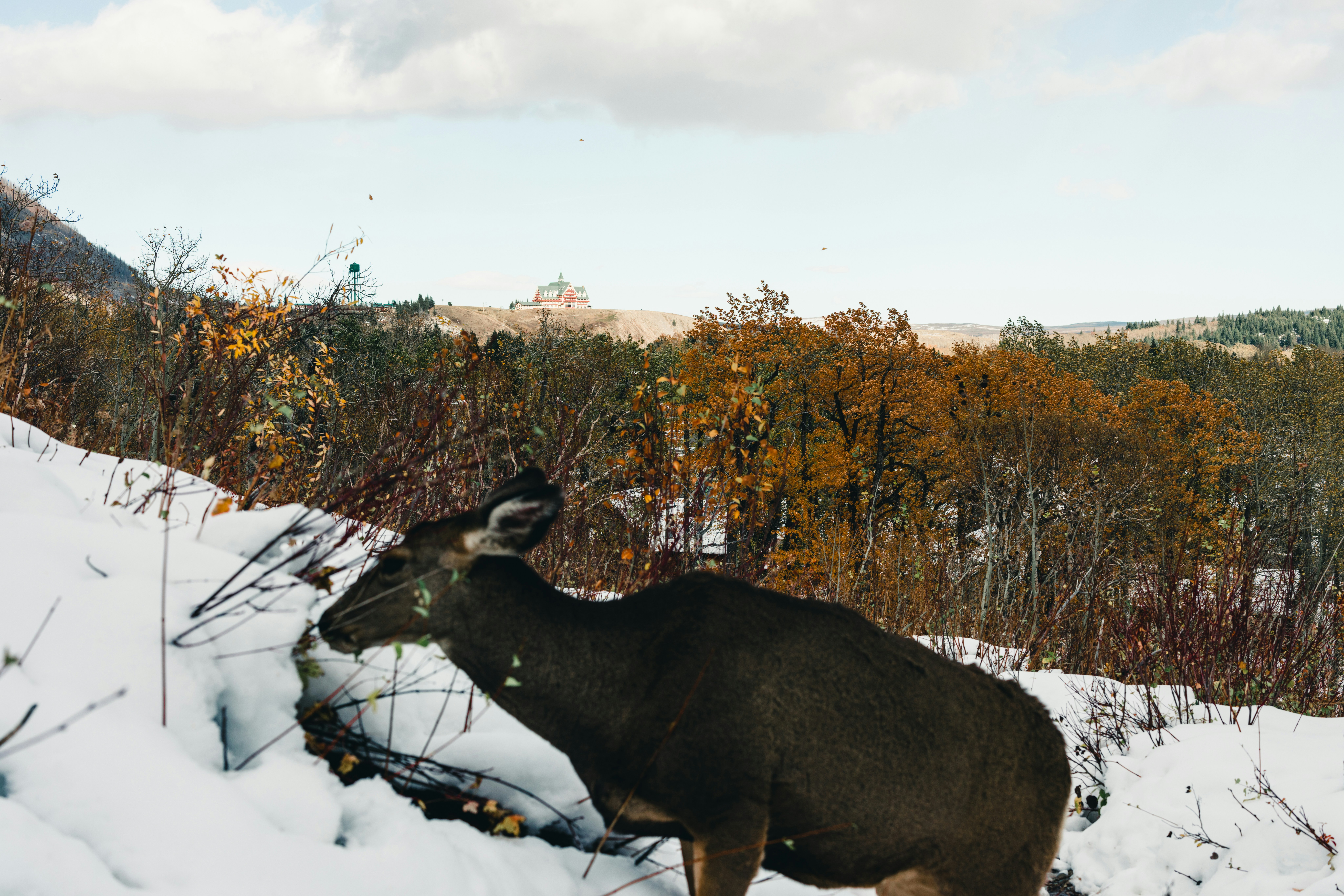 Photo by lureofadventure