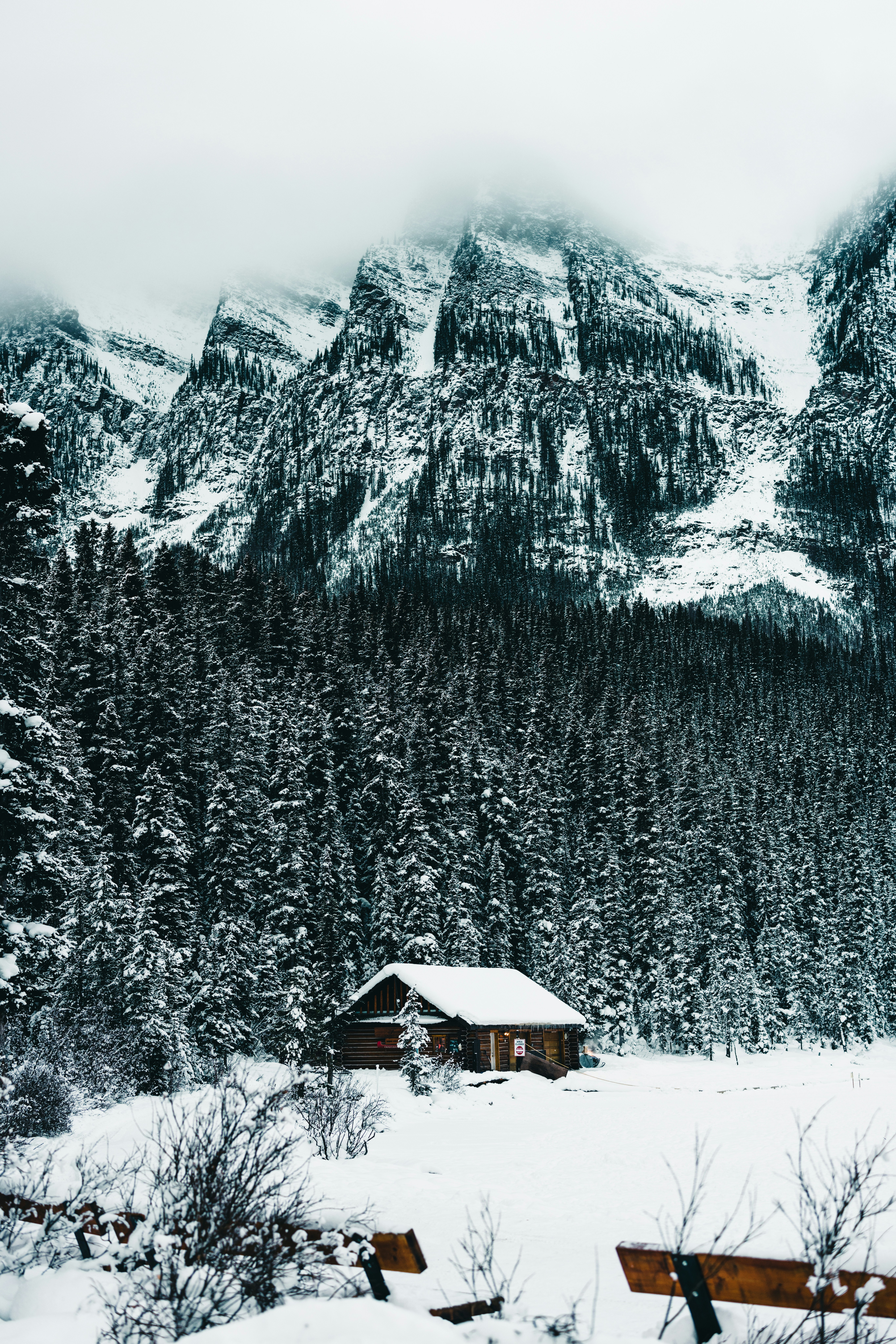 Photo by lureofadventure