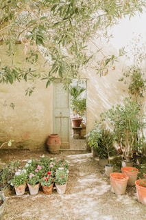 A peaceful outdoor space for relaxation and meditation.