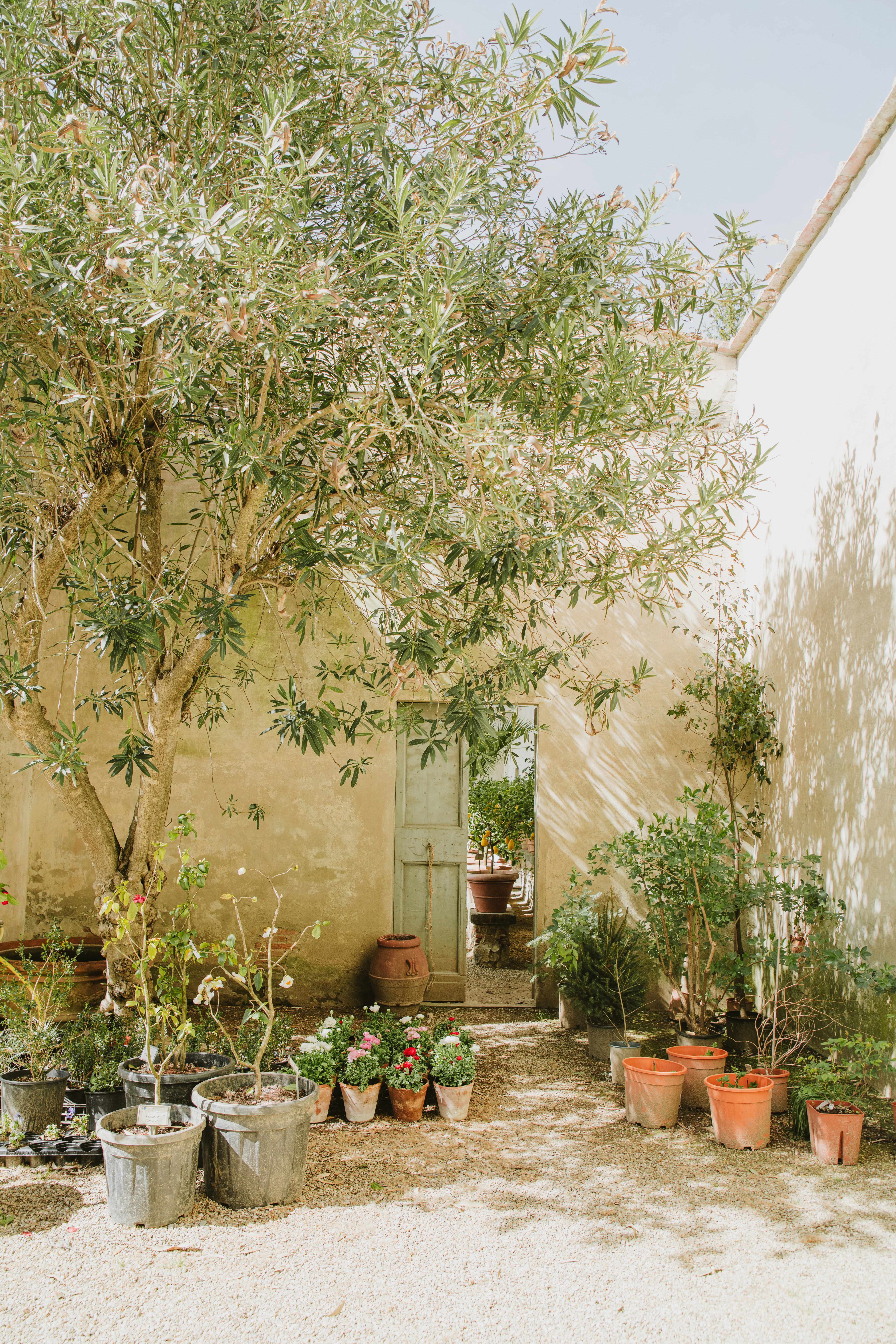 Photo by anitaaustvika