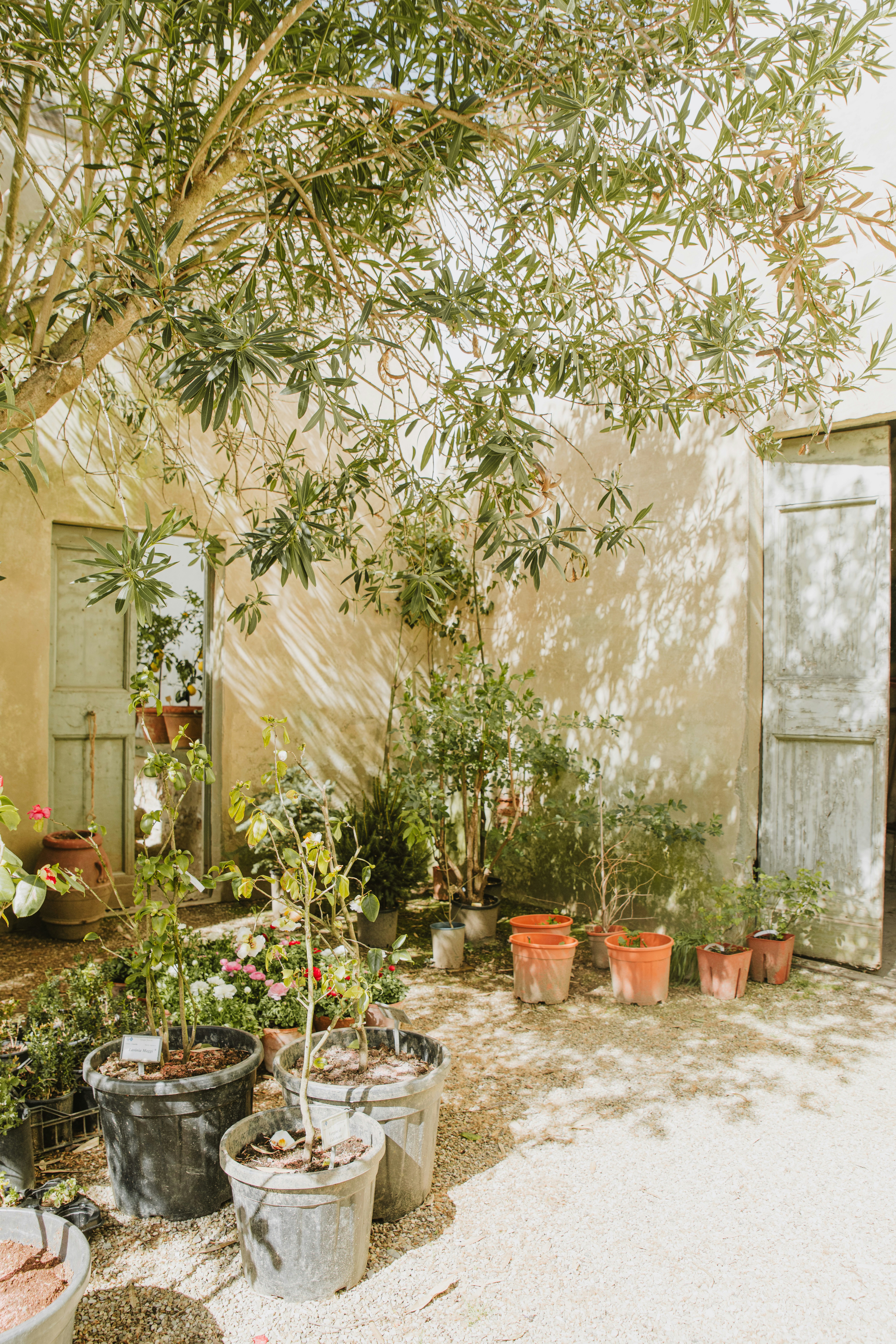 Photo by anitaaustvika