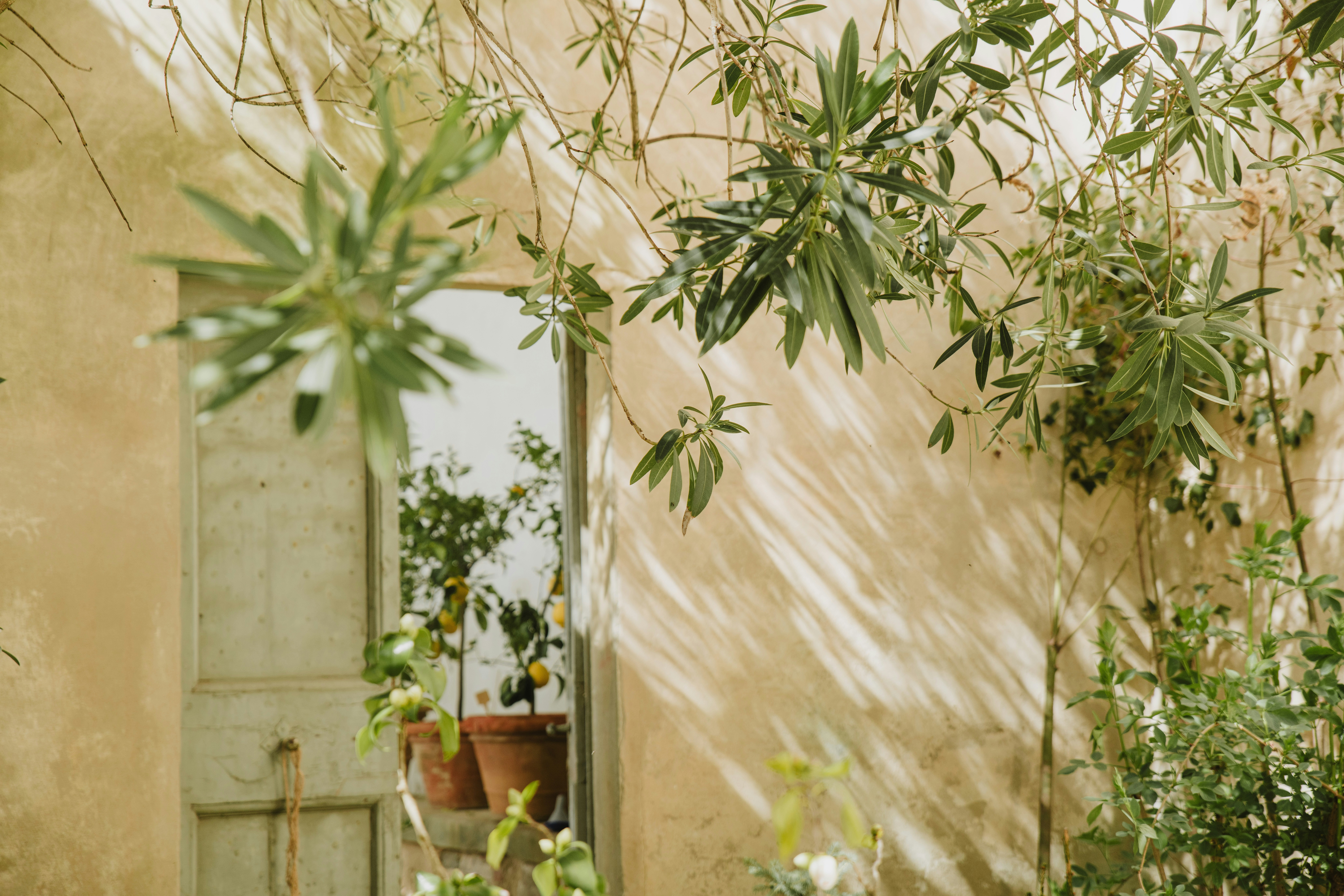 Photo by anitaaustvika