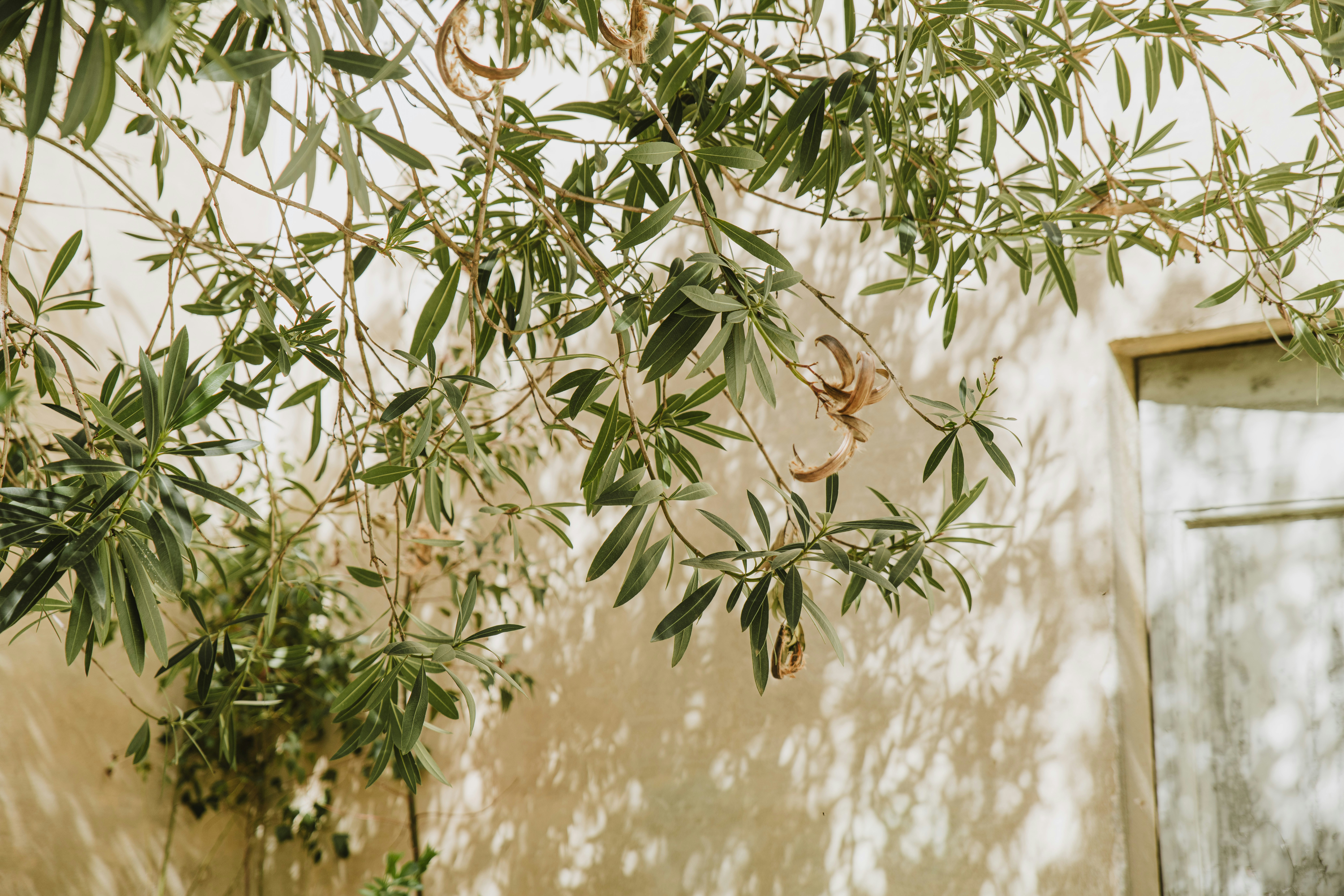 Photo by anitaaustvika