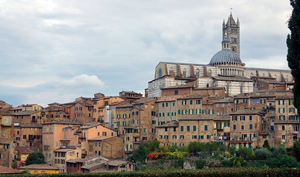 a view of a city from across the river