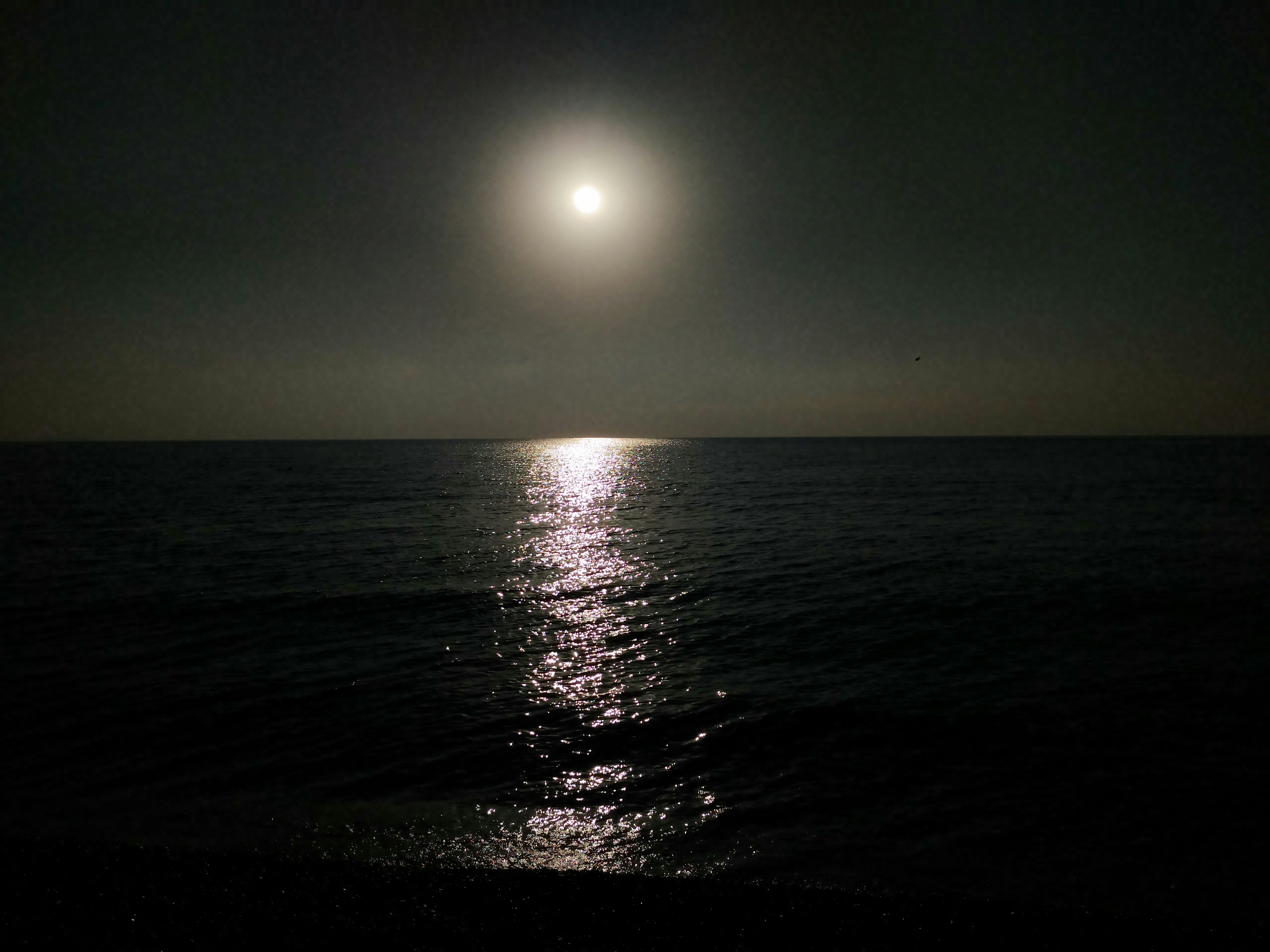 a full moon over the ocean at night