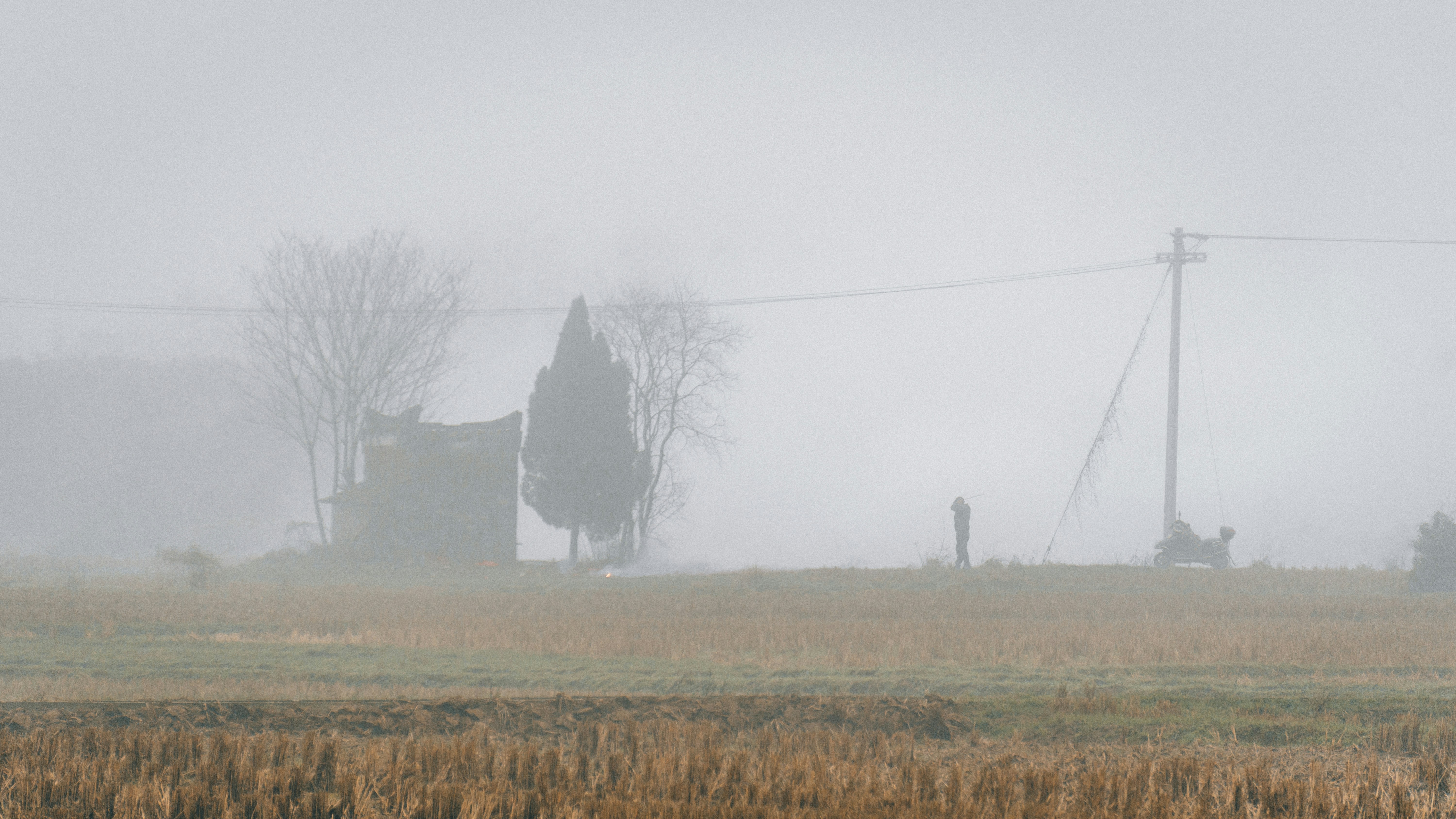 a foggy field with a farm house in the distance