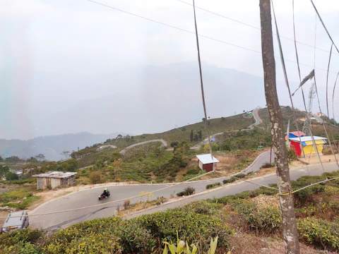 A scenic rural road lined with trees and small villages in India.